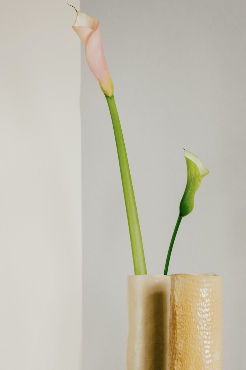 DTS_Ceramic_Daniel_FarÃ²_3766