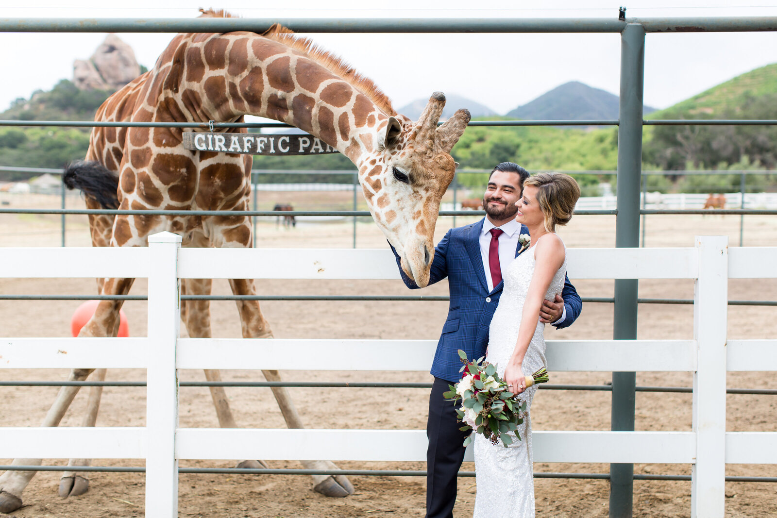 Malibu-Saddlerock-Ranch-Destination-wedding-photographer-Stanley-the-Giraffe-1