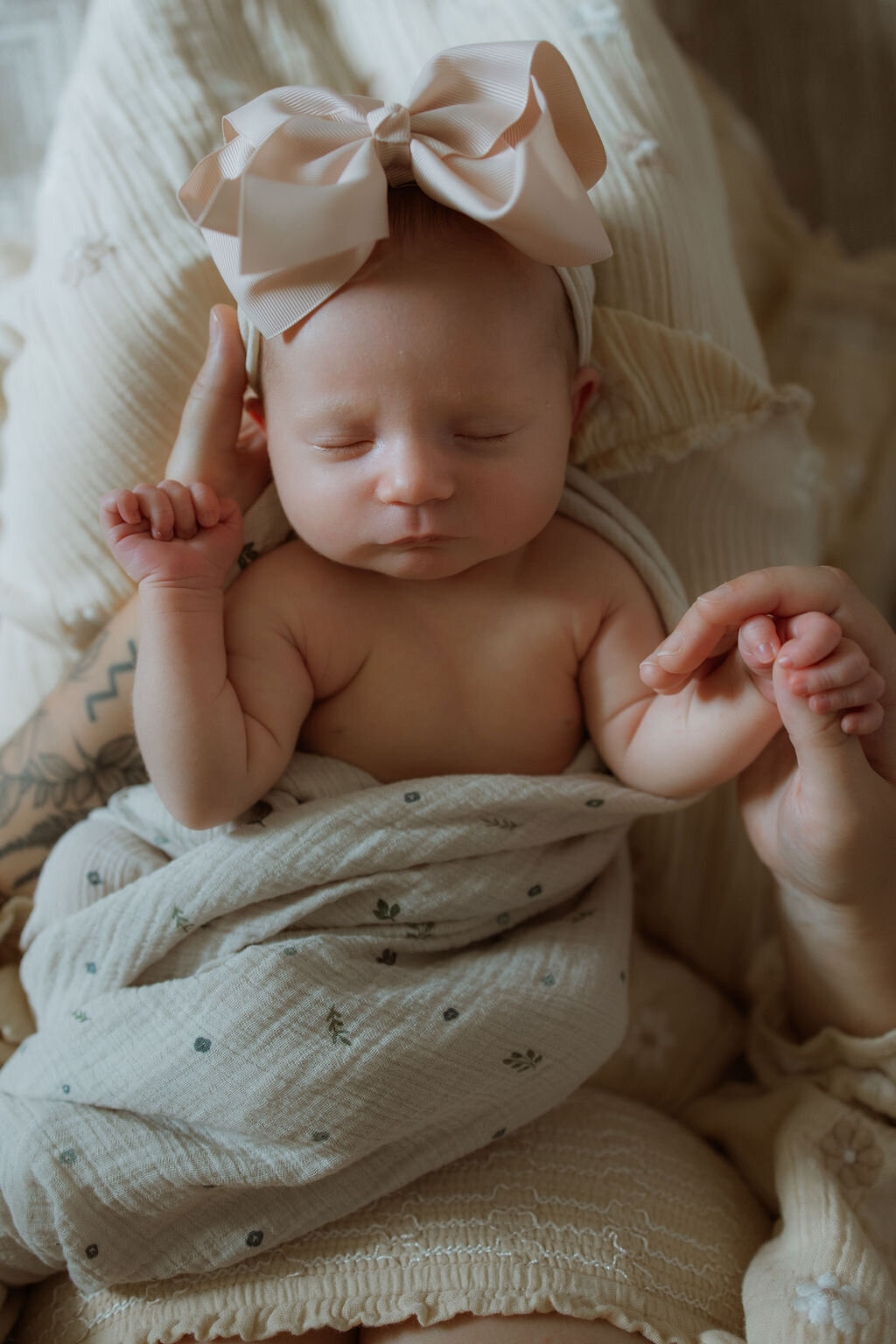 AbigailElizabethPhoto-6996