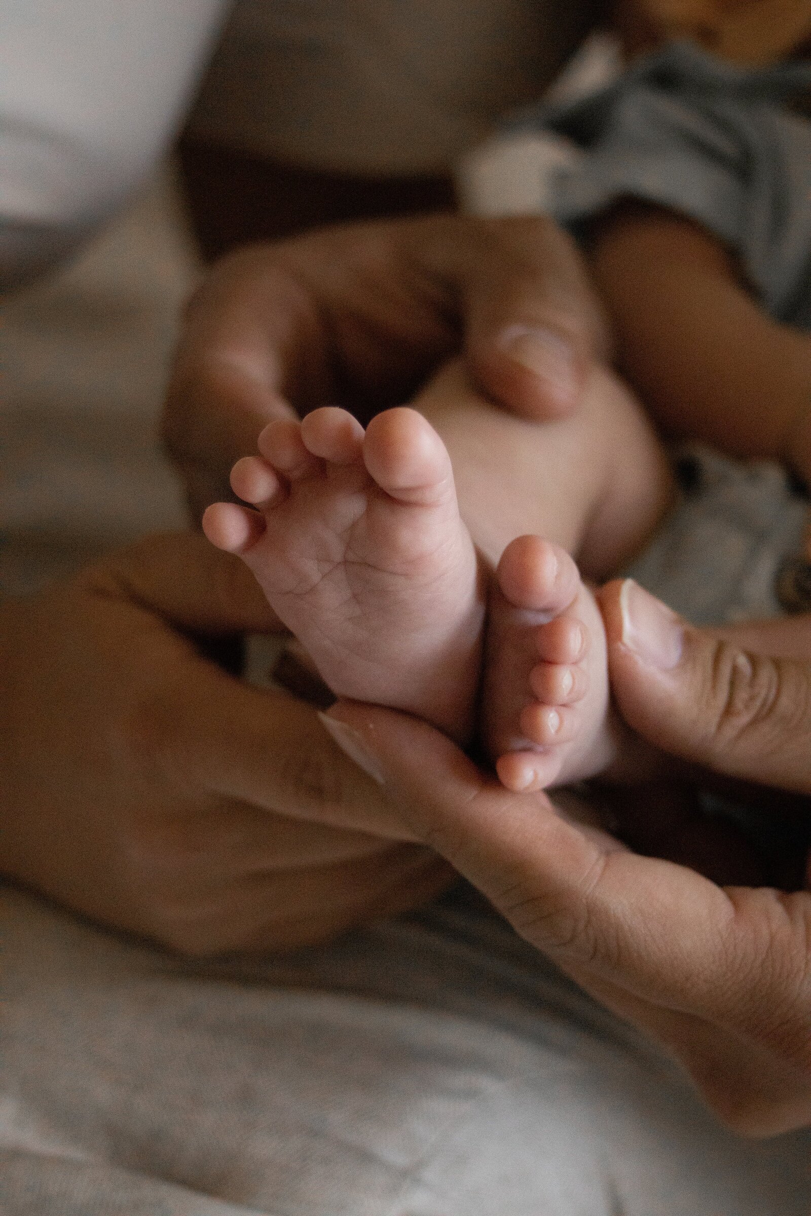 close up of baby toes cradled in parents hands