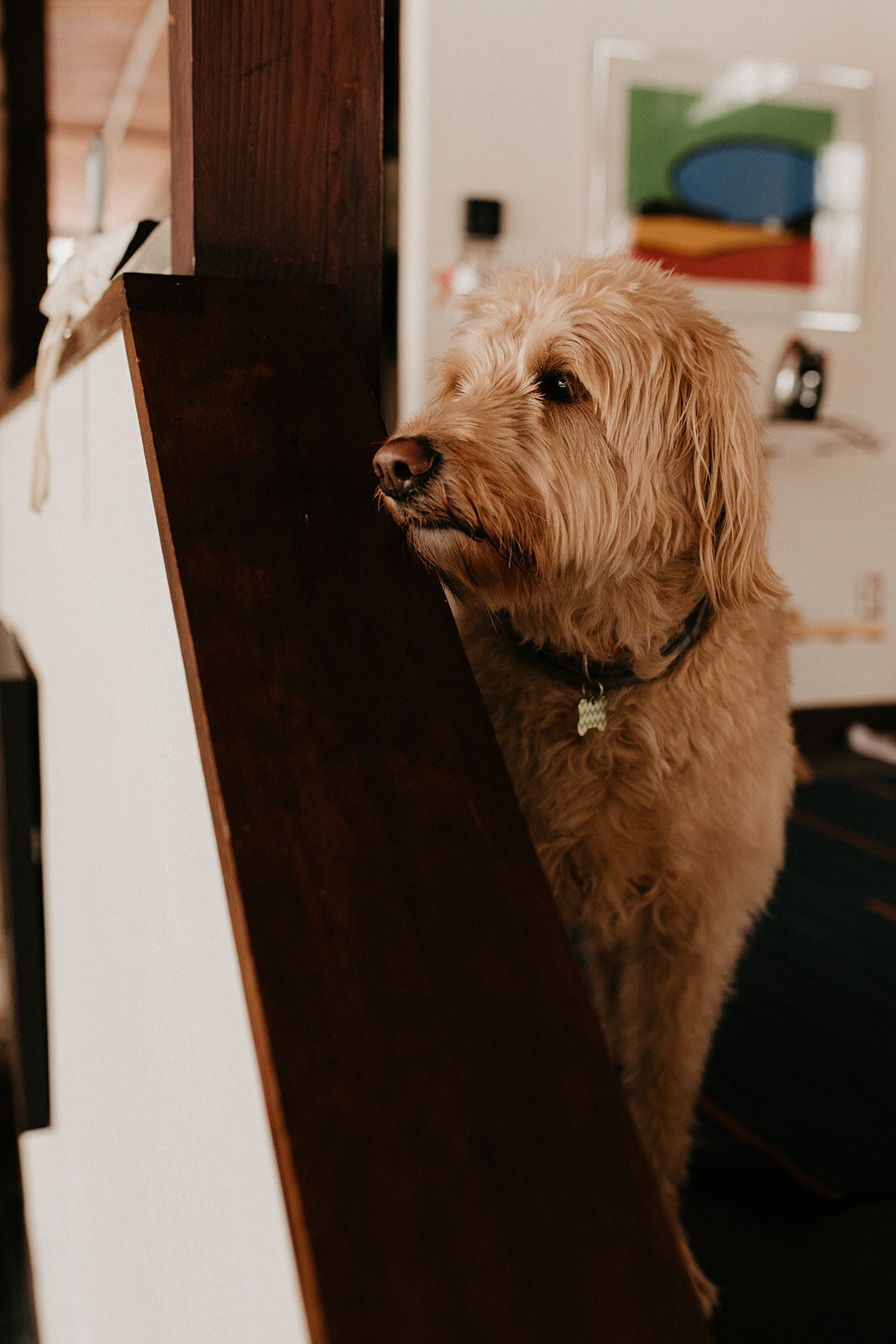 028_Amanda_Tommy_Minimony_12.19.20-68