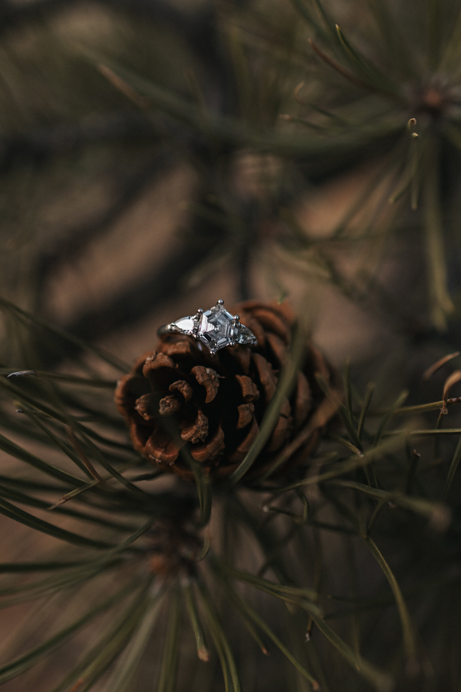 Steph_Jake_Engagement-259