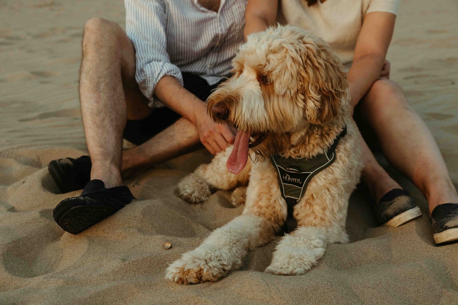 Get-framed-photographpy-couples-loveshoot-preweddingshoot-goldenhour-coupleshoot