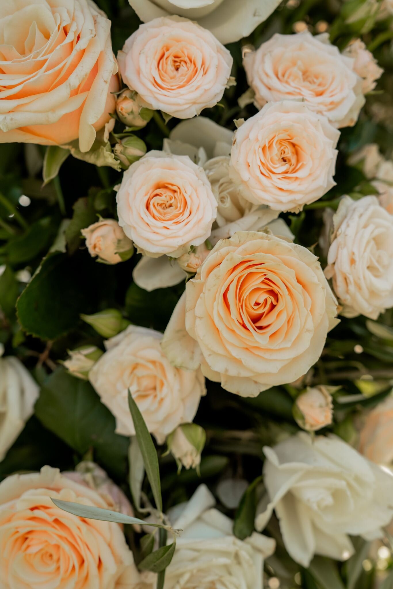 Lesley-Houtkamp-photography-trouwfotograaf-bruiloft-fotografie-trouwenitalië00117