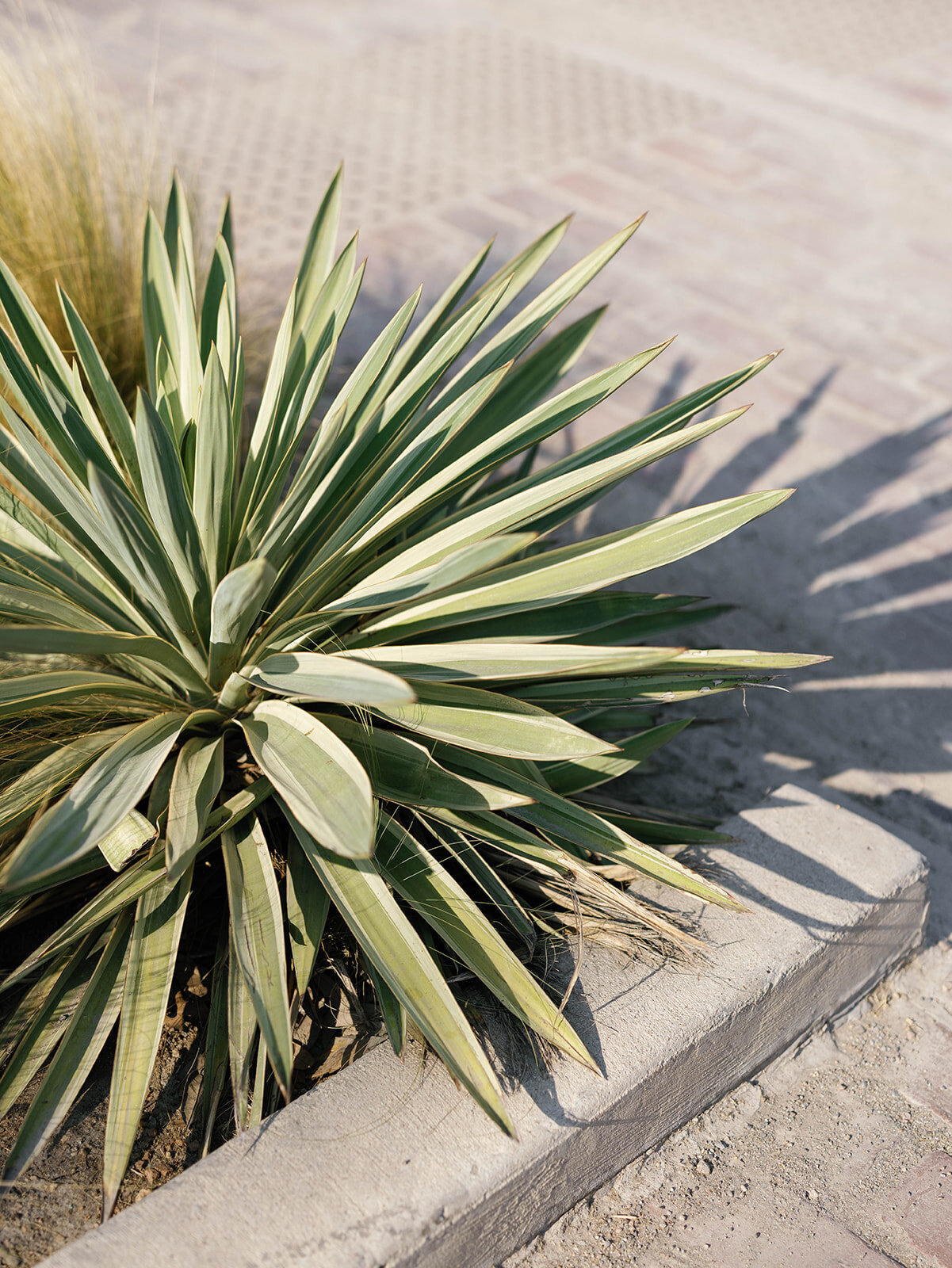 reilly-erin-photography-emma-mason-engagement-session-1