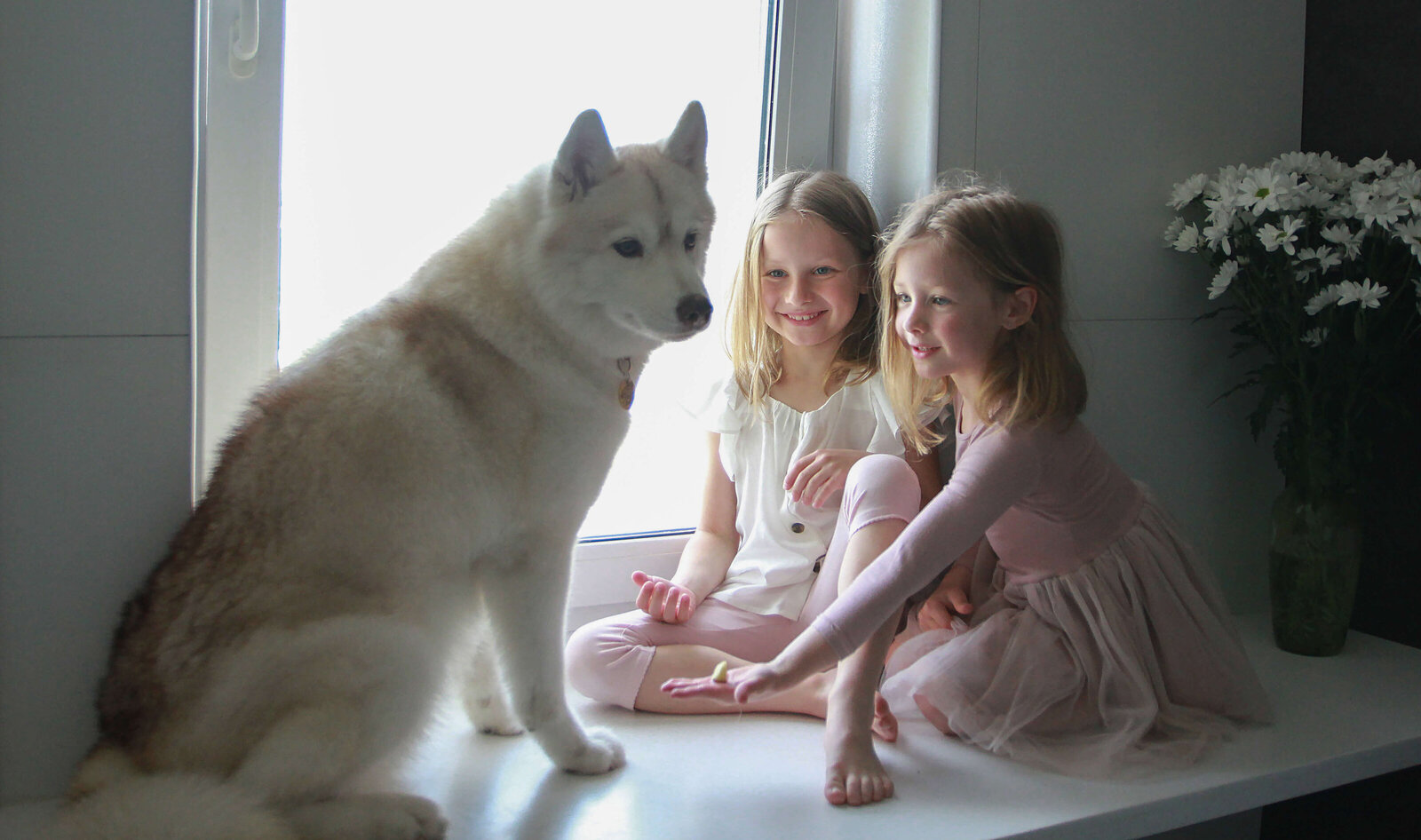 family-photography-with-dogs