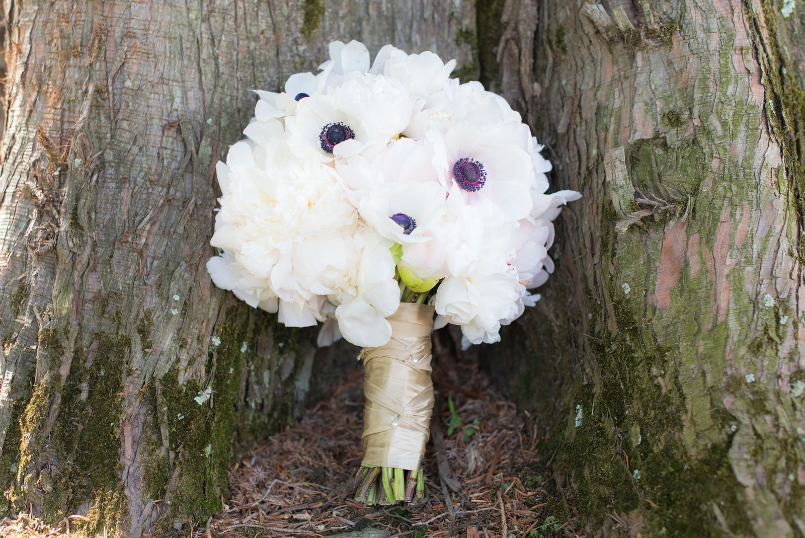 White Anemone Bridal Bouquet at base of tree photo