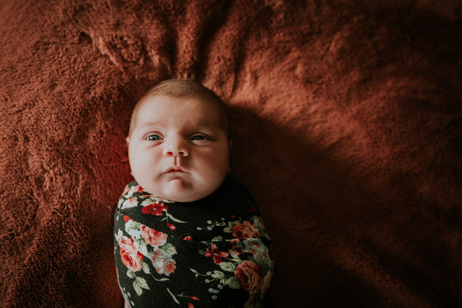 Create magical memories in the Twin Cities. Shannon Kathleen Photography brings newborn bliss to your St. Paul or Minneapolis home. Book a session for timeless moments.