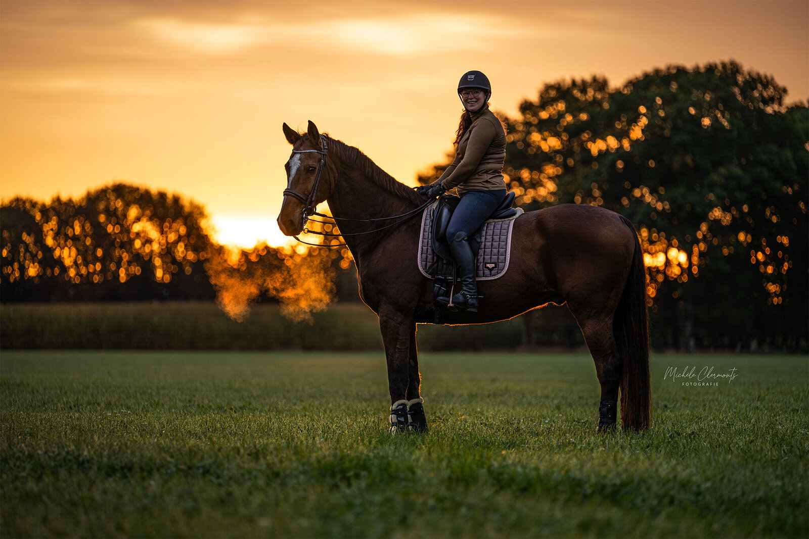 DSC_8041-paardenfotografie-michele-clermonts-fotografie