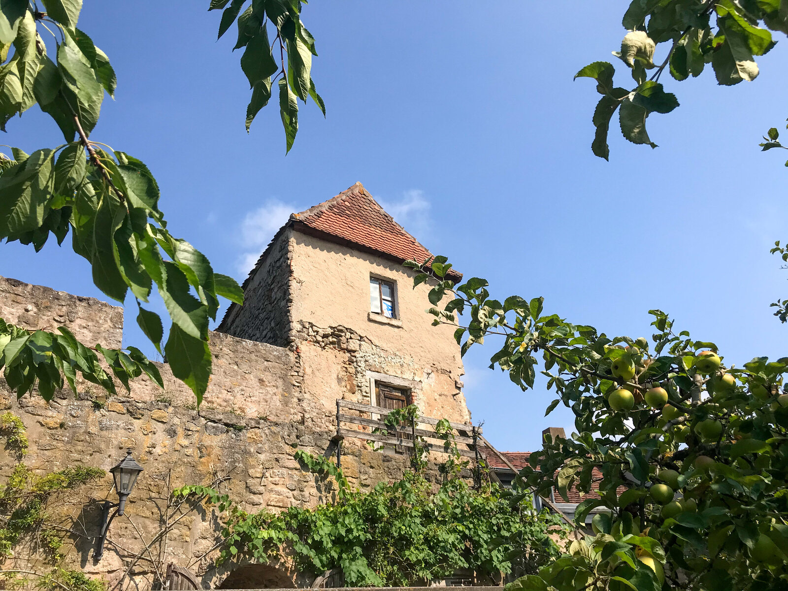 unbenannt-6271
