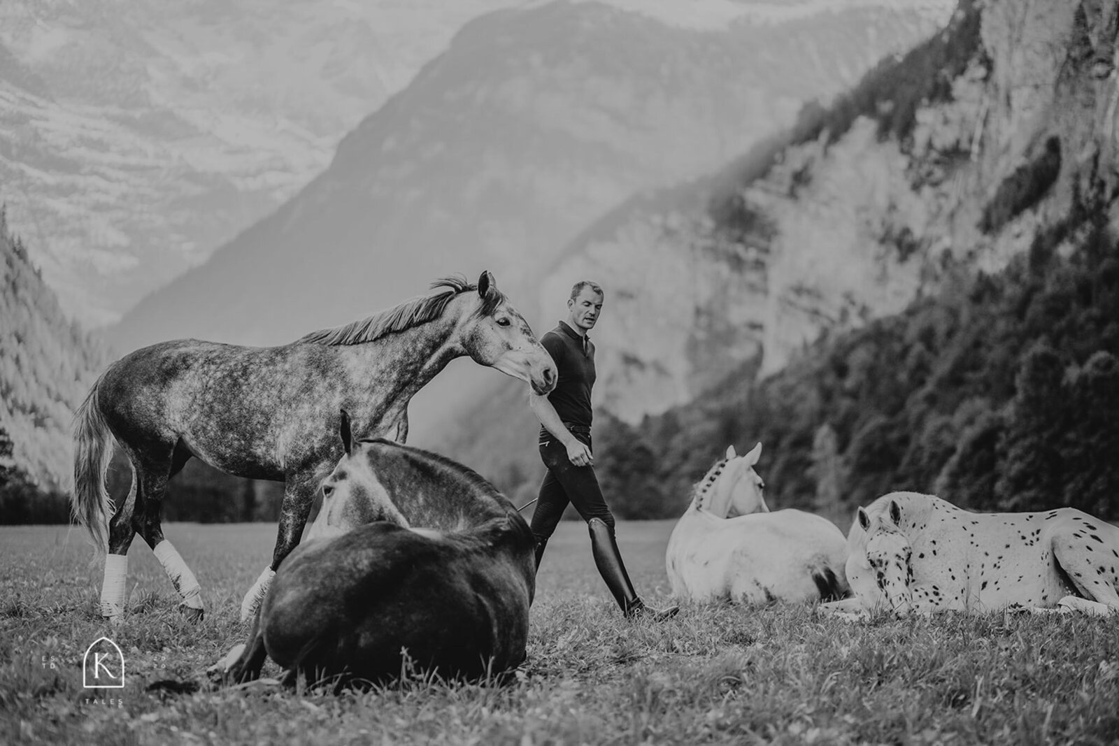 Liberty-training-equine-photography