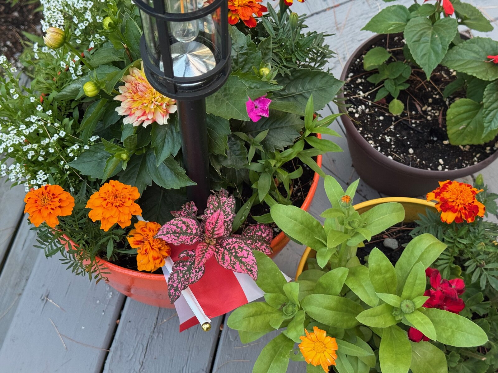 flower pots