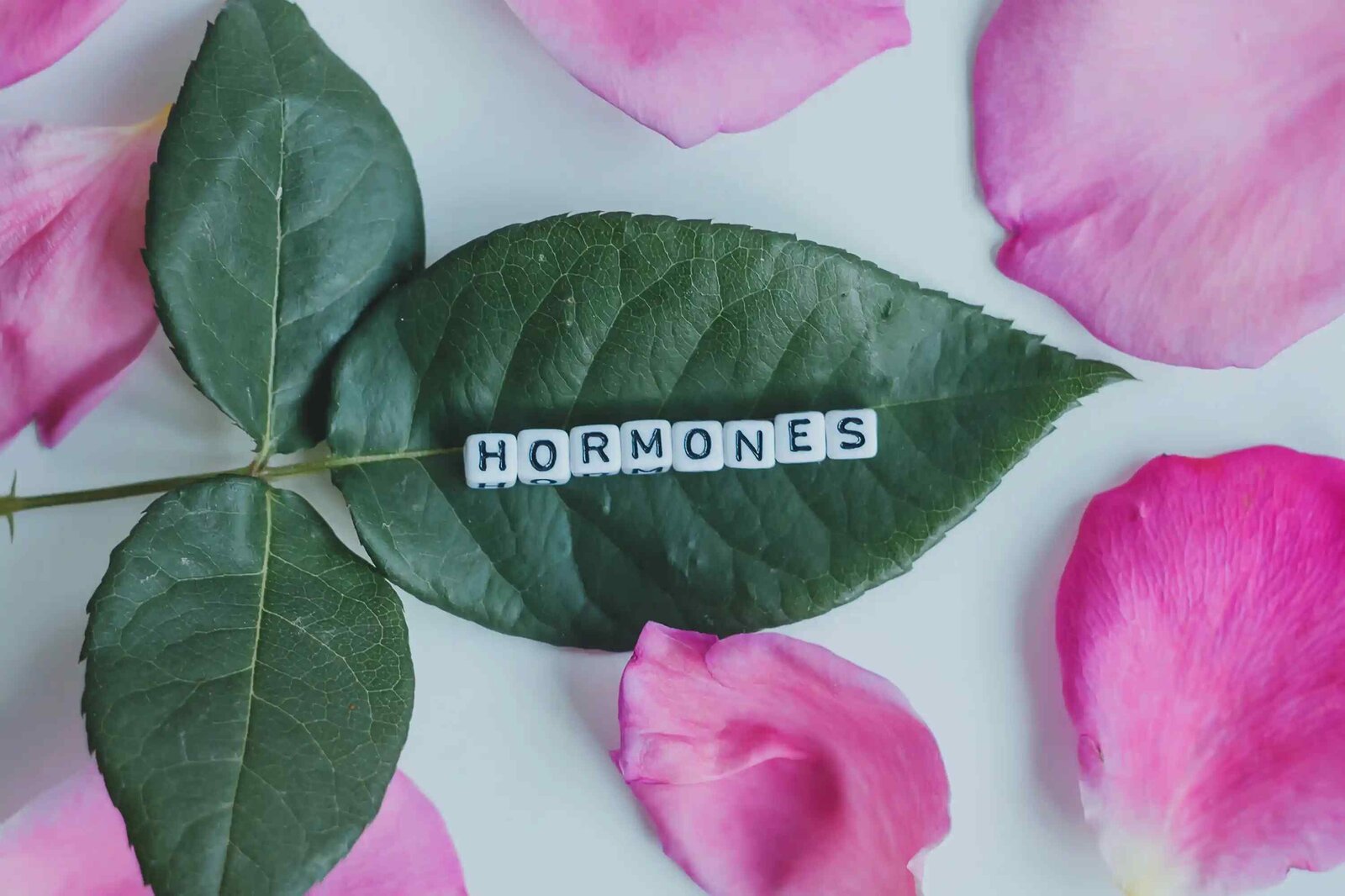 Womens-Health-Blog-Hormones