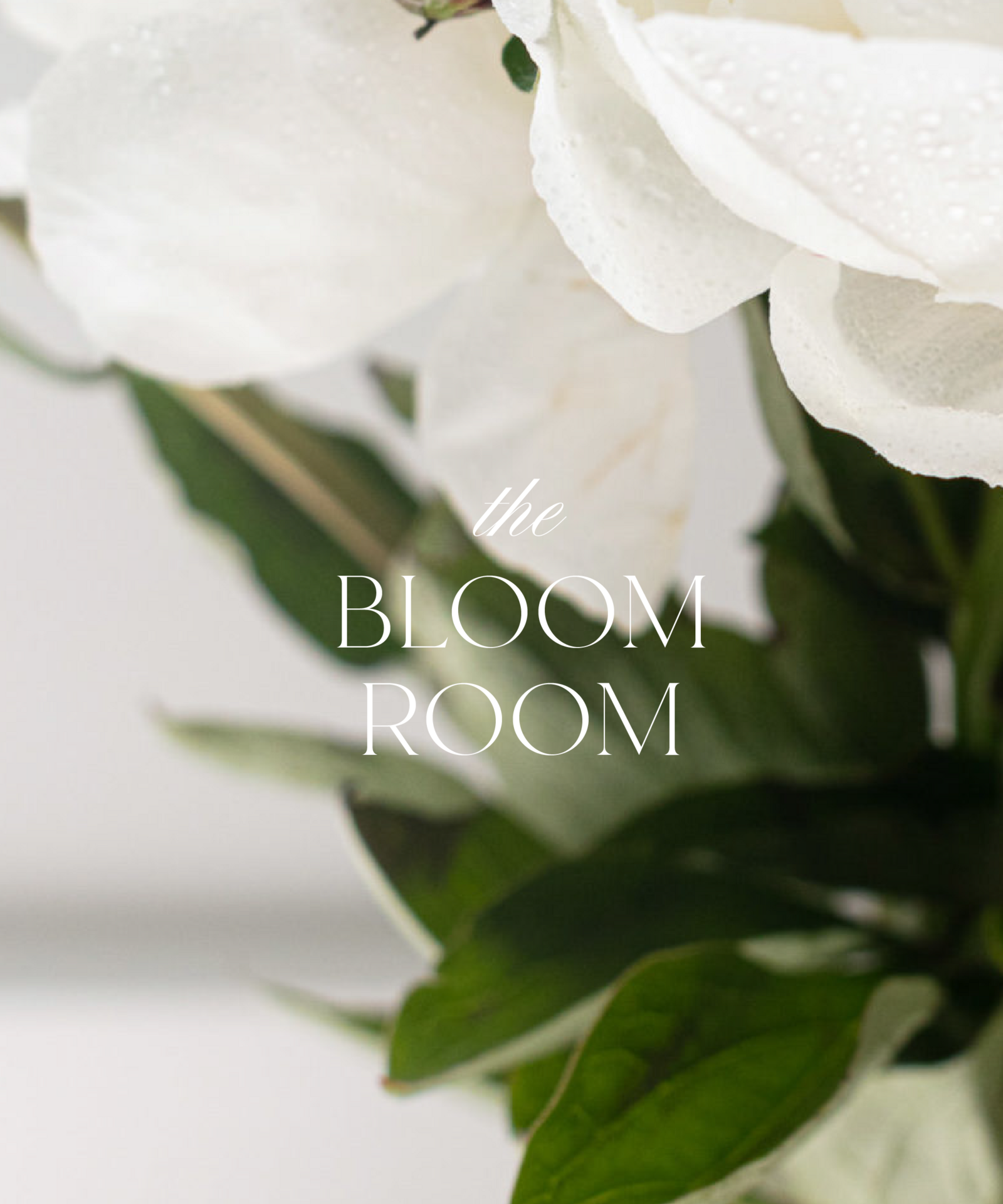Bloom-Room-21