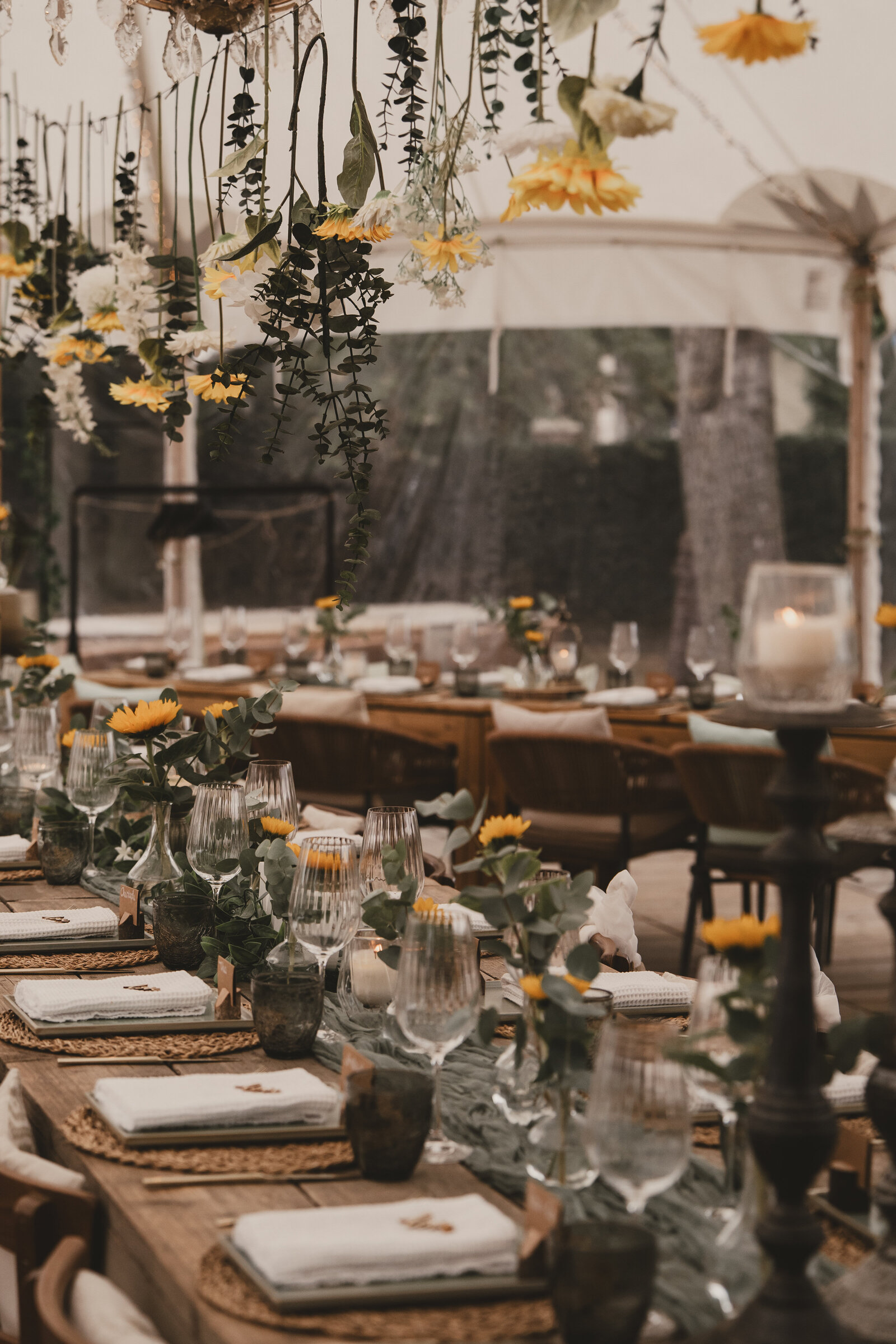 Huwelijksfotograaf en paardenfotograaf in Beringen