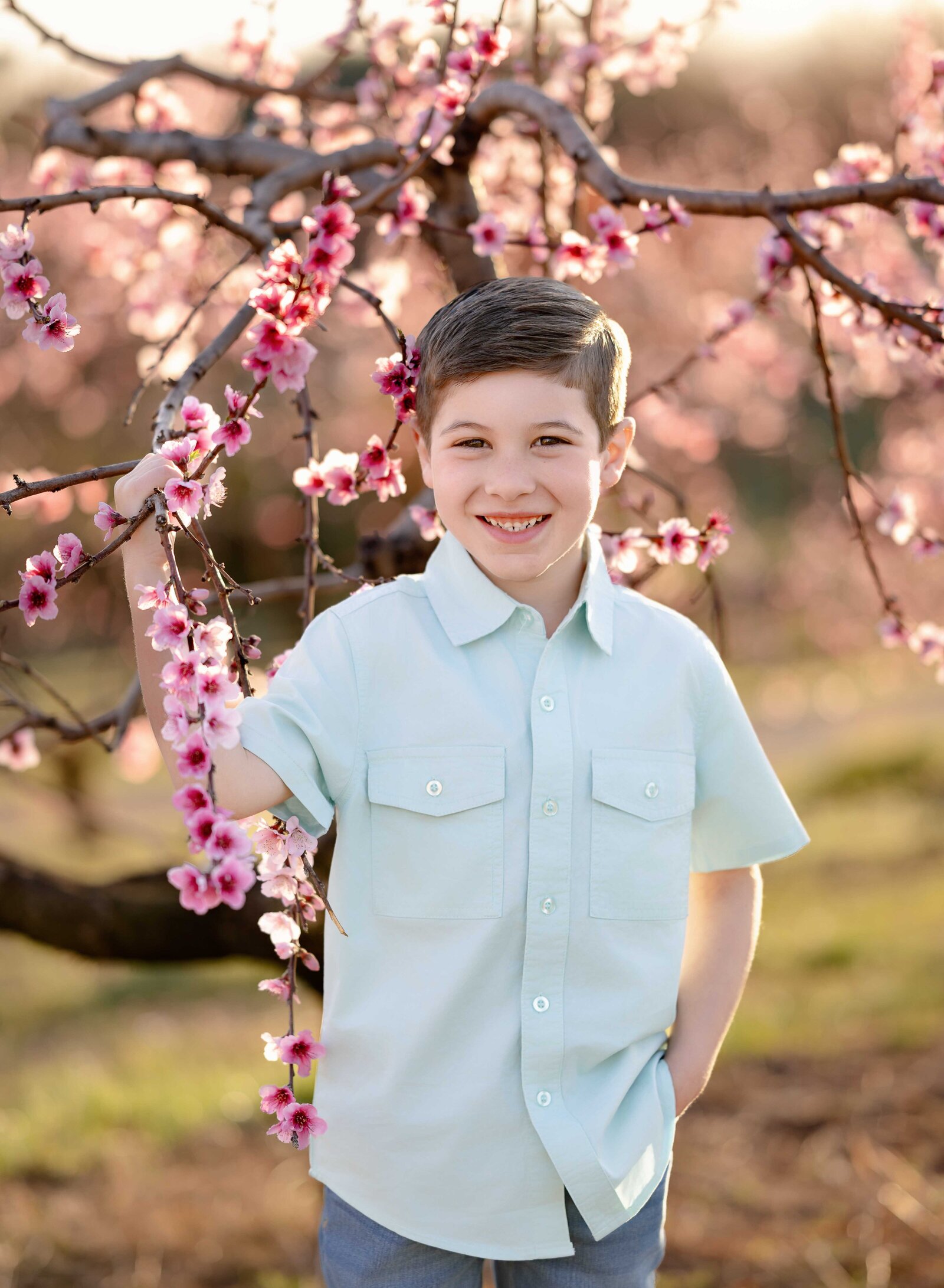Boy standing by pink peach blossom tree at Ellijay peach orchards near Atlanta, GA. Family photo taken by Jenni Nikki Photography near Atlanta, GA.
