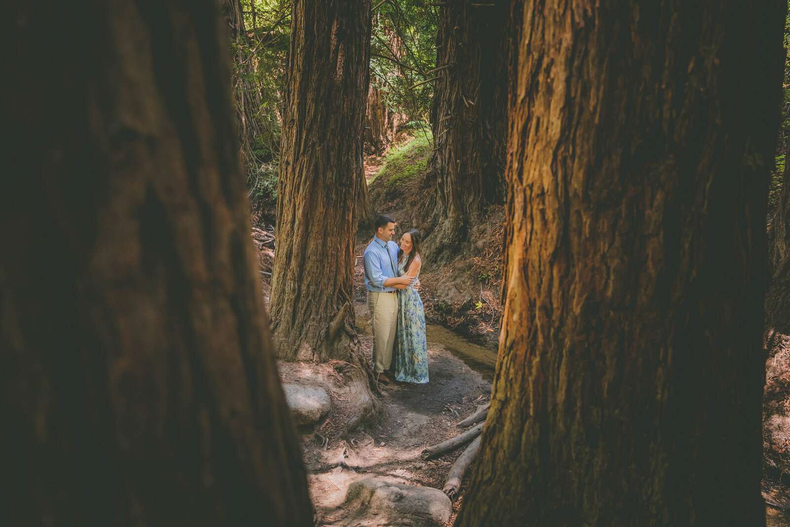 An eloping couple holds each other as they are surrounded by redwoods in Big Sur.
