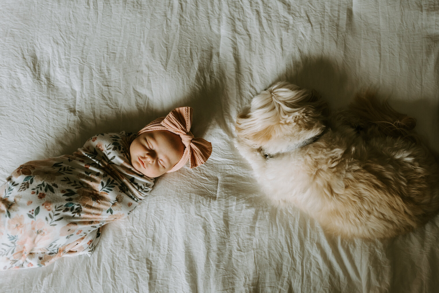 twin cities-spring-floral-inspired-newborn-photography-session1