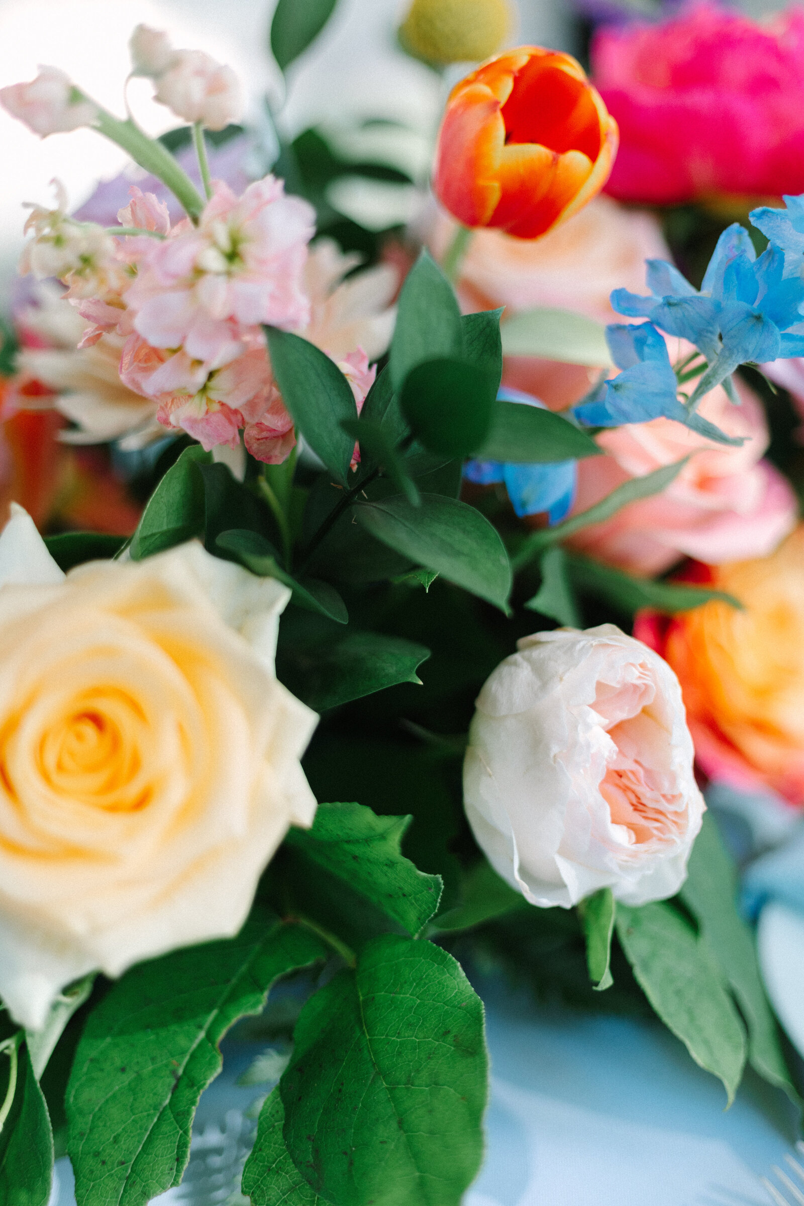 meganpittsphotography-1443
