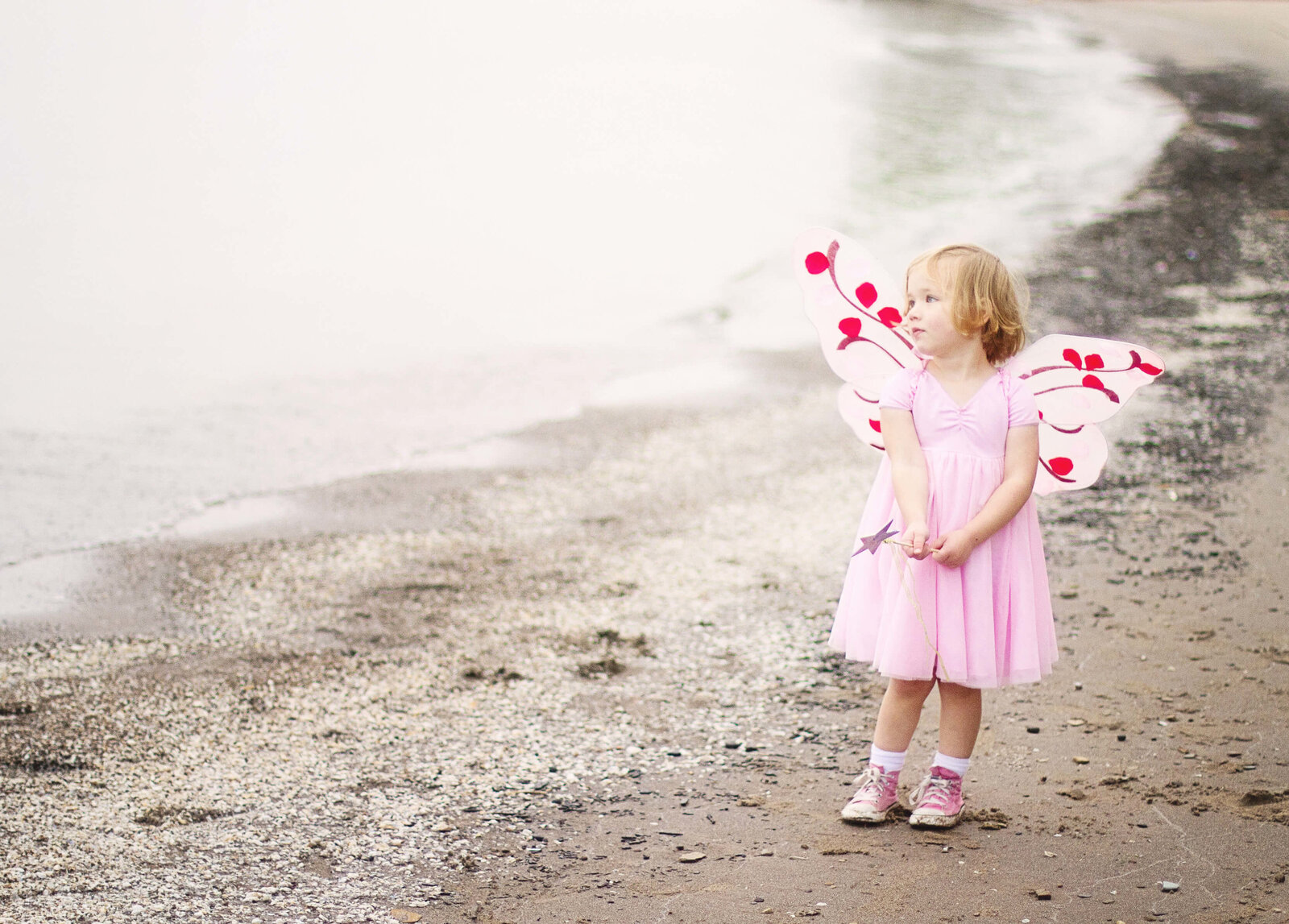 Themed children's and family photography sessions