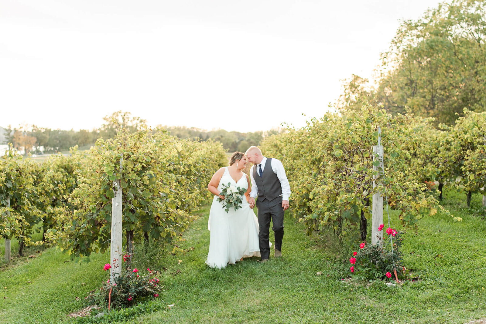 Bride and groom walking through a vineyard in Sauk City, by WI wedding photographers Morgan Madeleine Photography