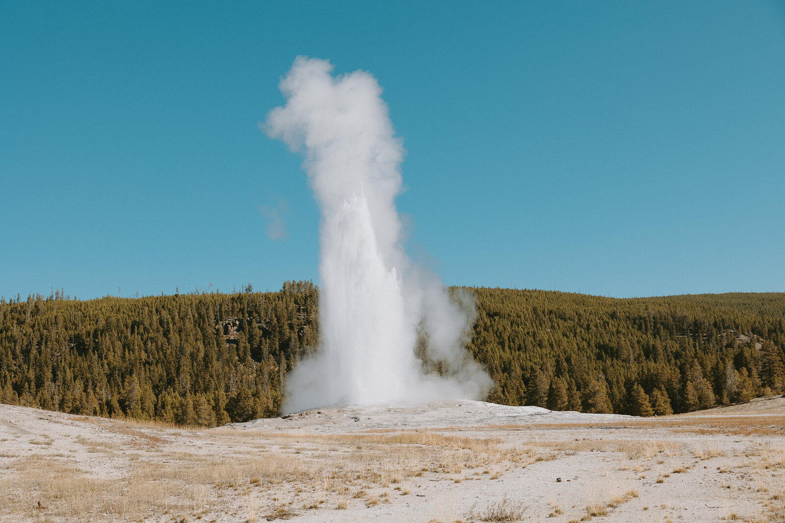 Photo of Old Faithful Geyser erupting at Yellowstone National Park