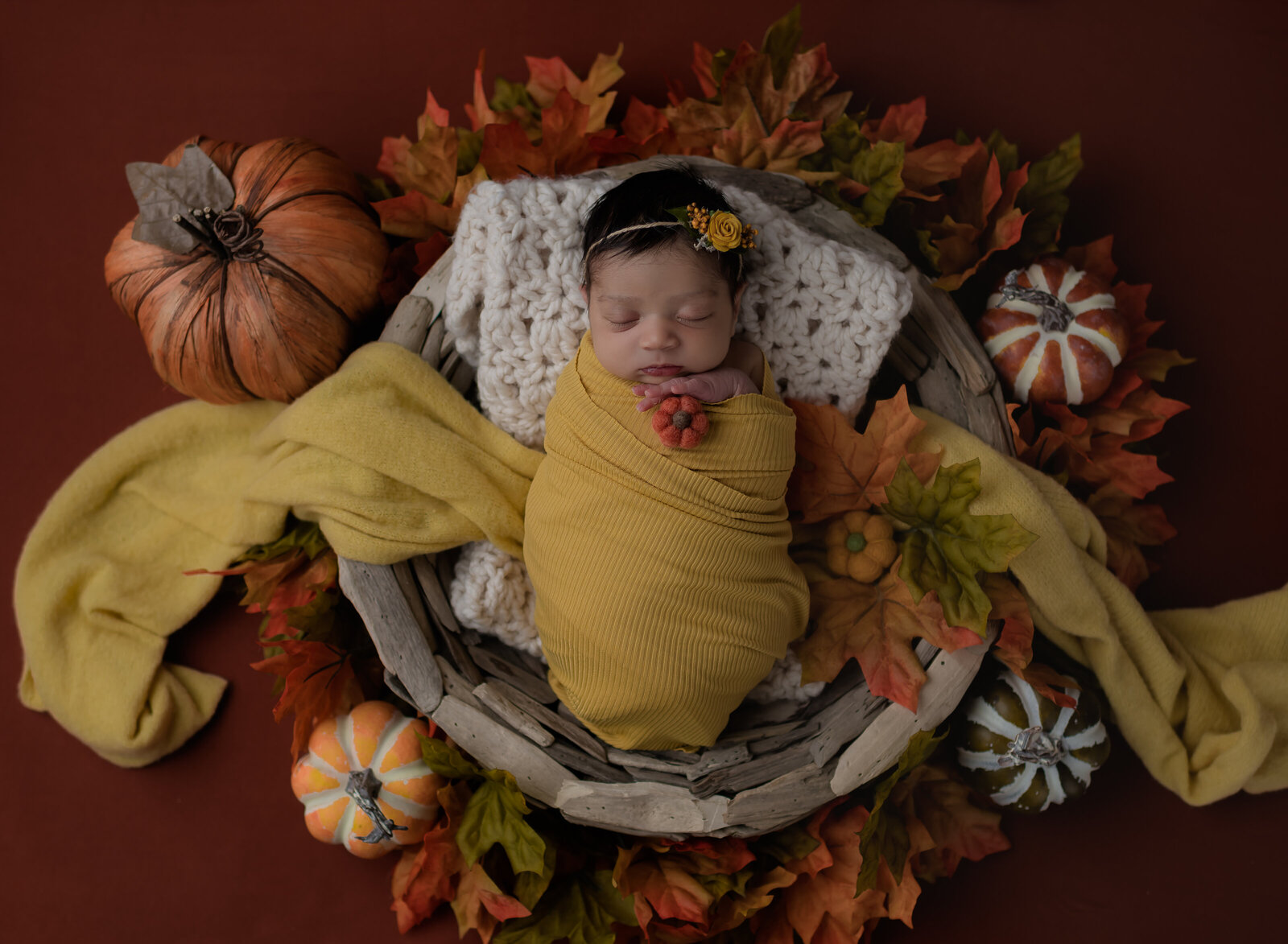 fall props for newborn photos
