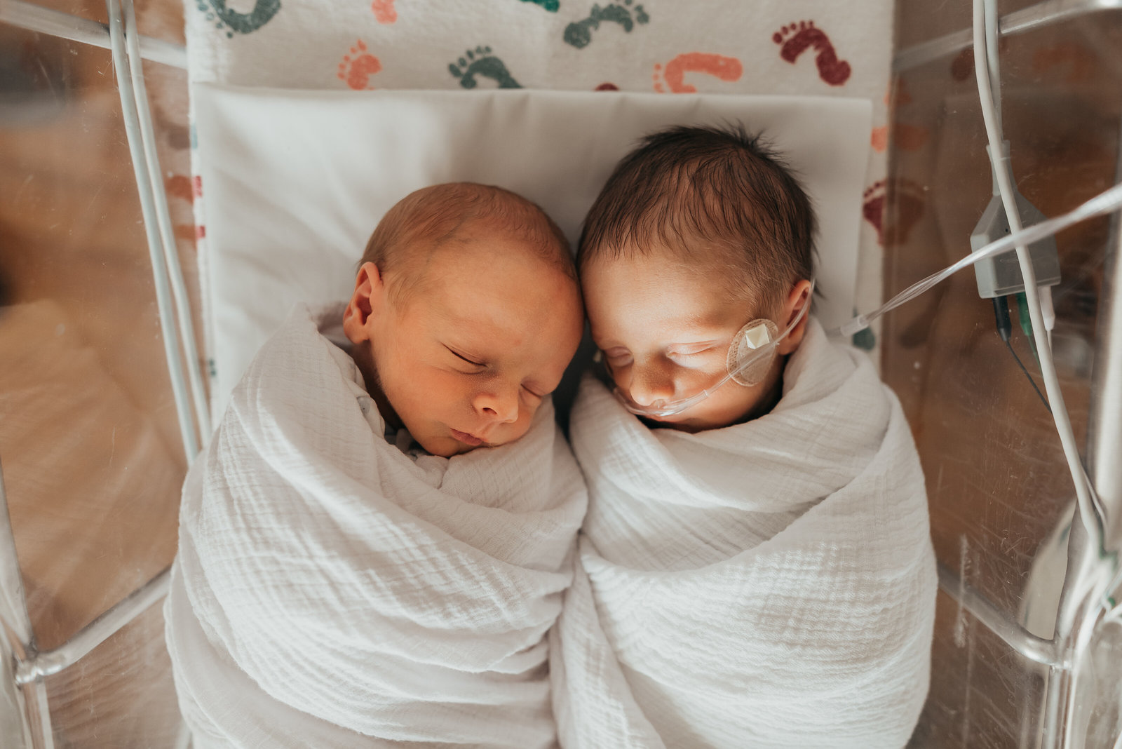 twins in hospital crib