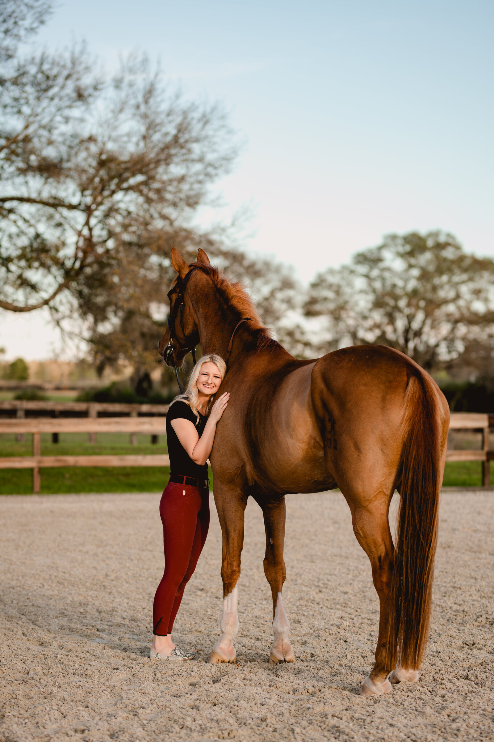 Jumper horse in Ocala FL has photoshoot with rider in equestrian clothes in the arena.