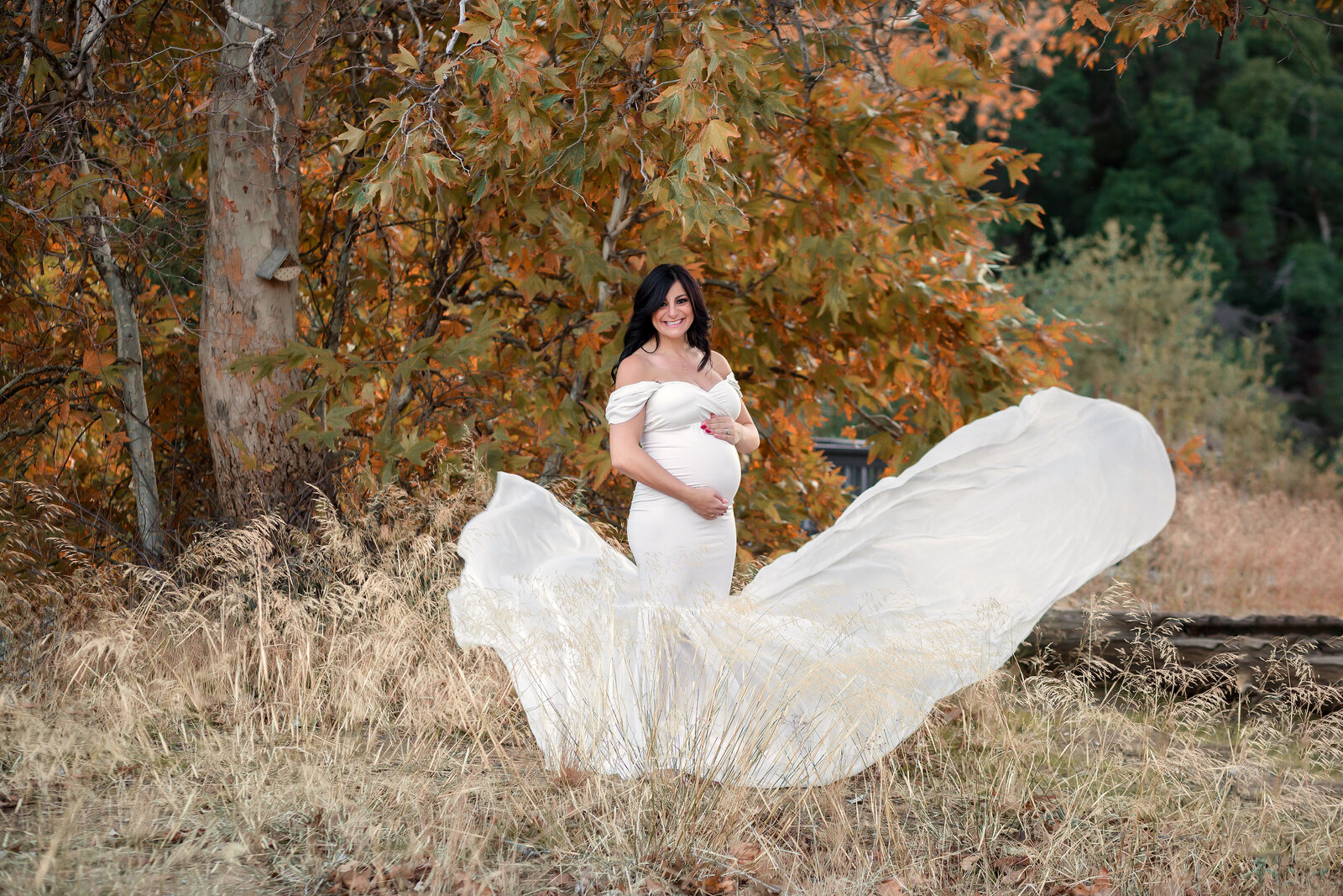 maternity pictures california