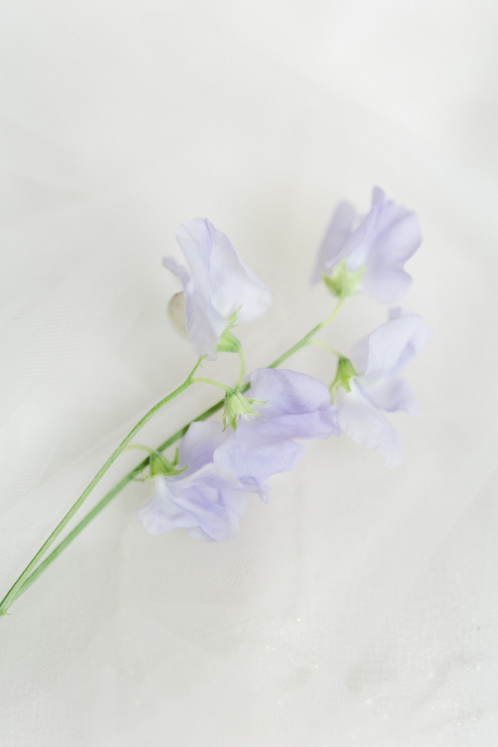 S&V_Details-568