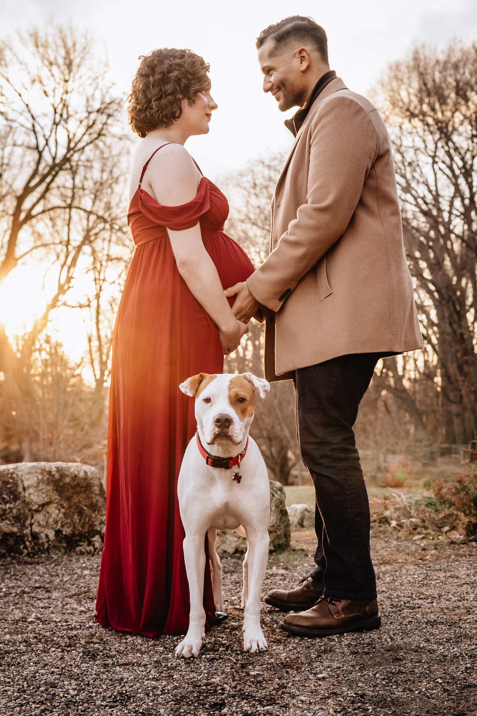 A pregnant couple stands holding hands, with a large dog sitting in front of them. The woman wears a flowing red dress, and the man is dressed in a beige coat. The background features a warm sunset with bare trees.