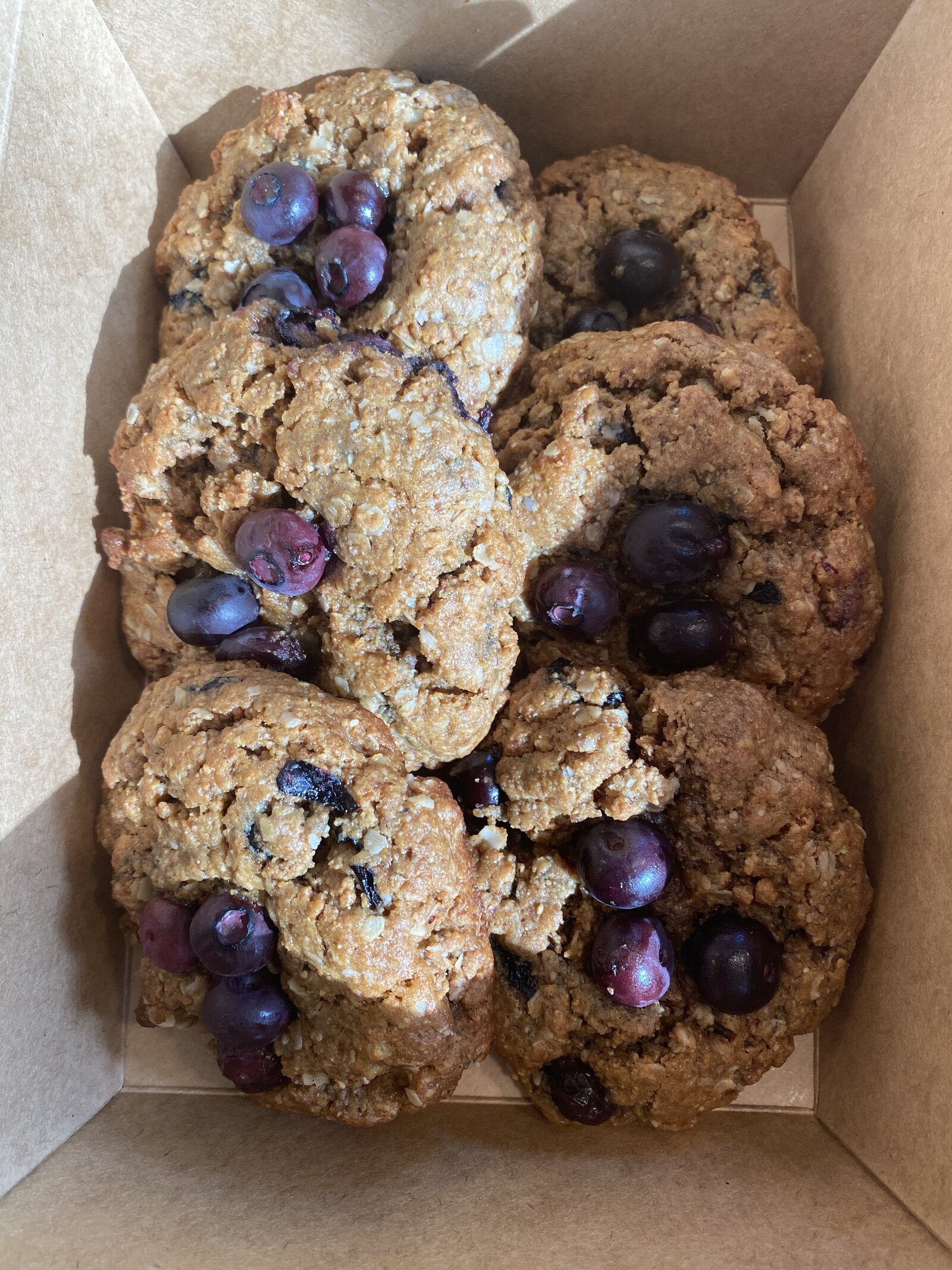 Blueberry Oat Breakfast Cookies (gluten free:dairy free)  