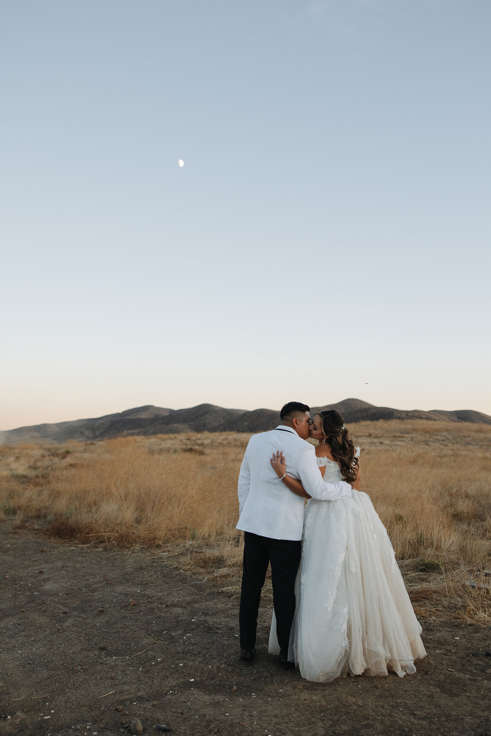 bride and groom kissing in a field