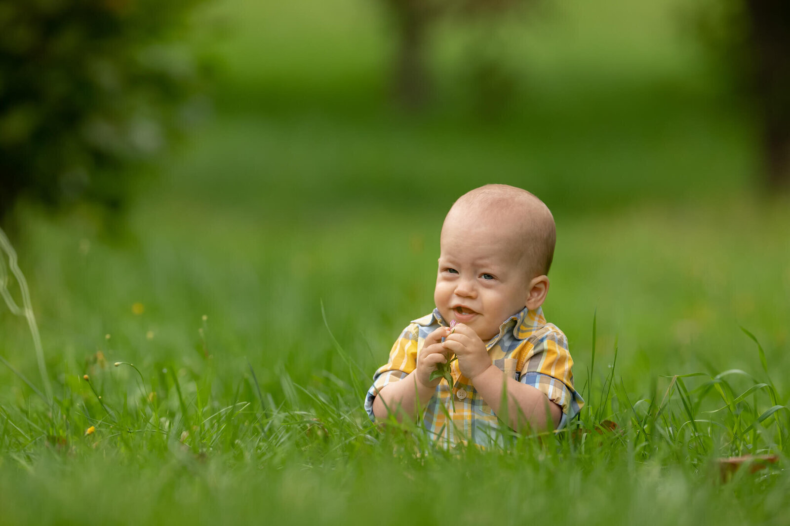 Worcester-Family-Photographer-44