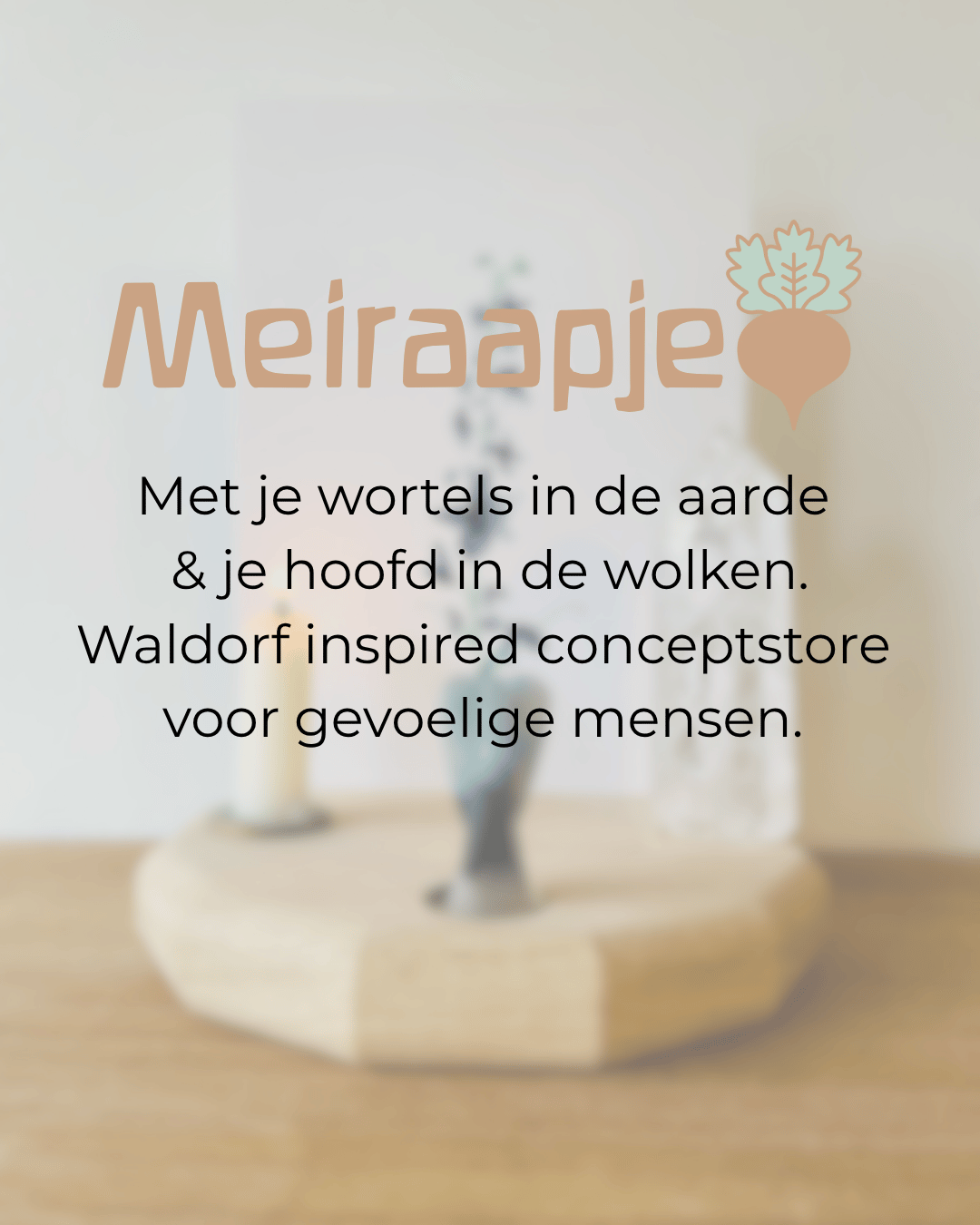 carousel, meiraapje-webshop, webshop, meiraapje, voeten-in-de-aarde, hoofd-in-de-wolken 2