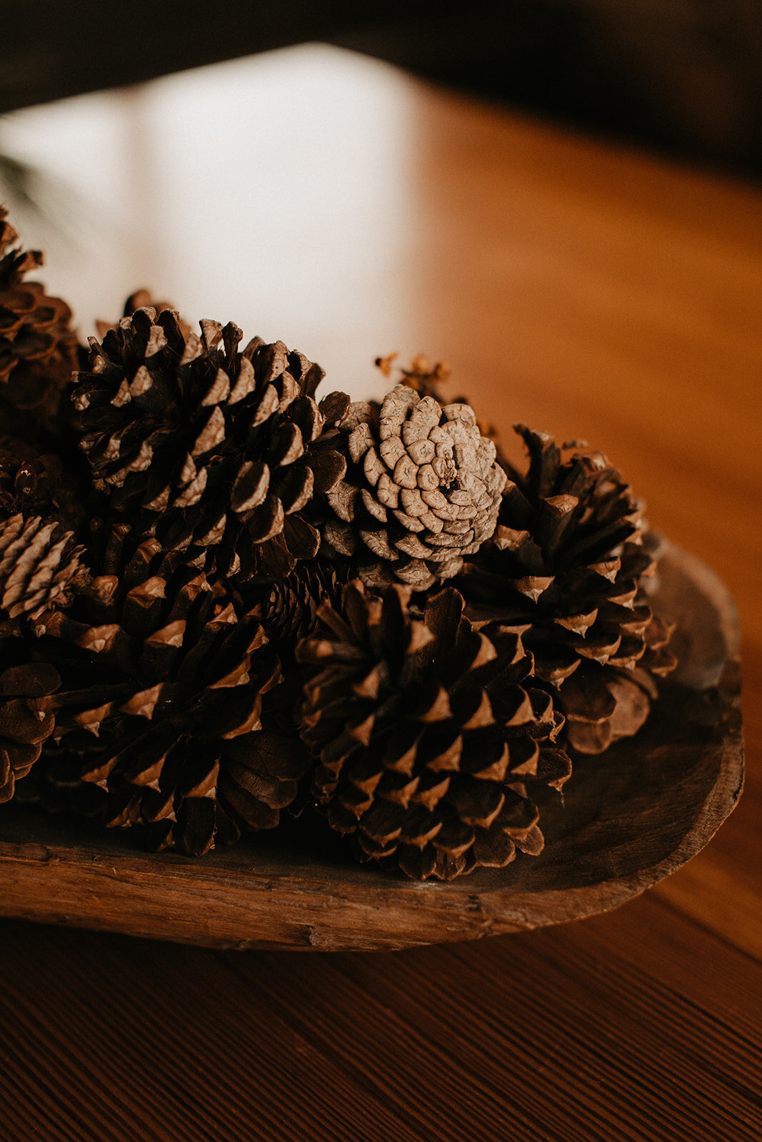 002_Amanda_Tommy_Minimony_12.19.20-100