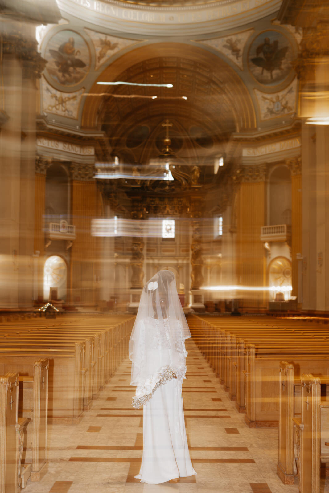 Majolica_photo_Orchidée