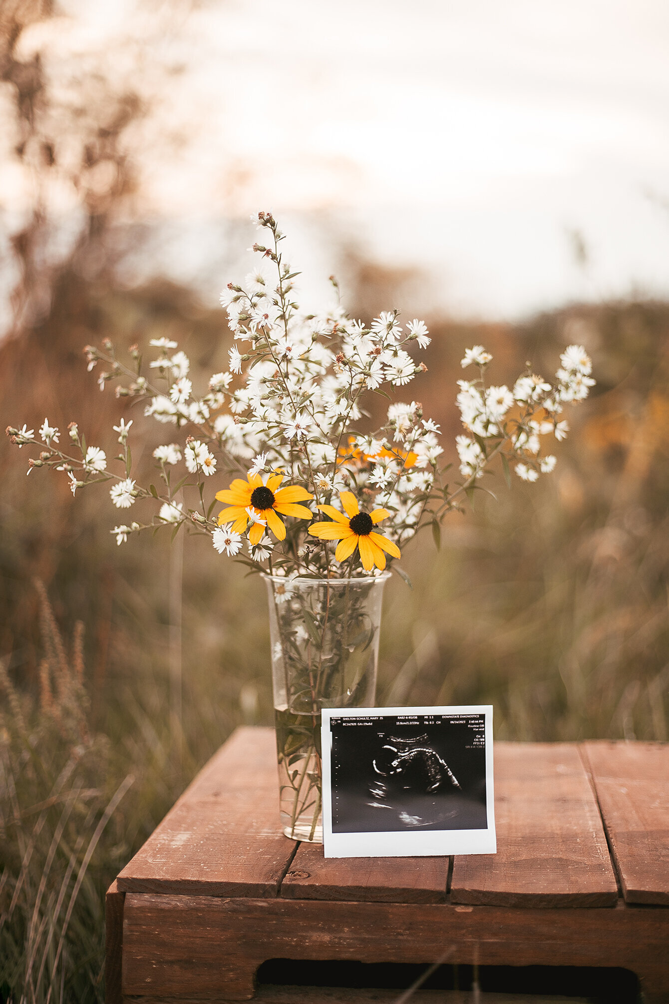 Wooden crate. On top clear plastic cup with wildflowers a sonogram image leaning against it. Background blurry meadow. Maternity Portrait Photography.