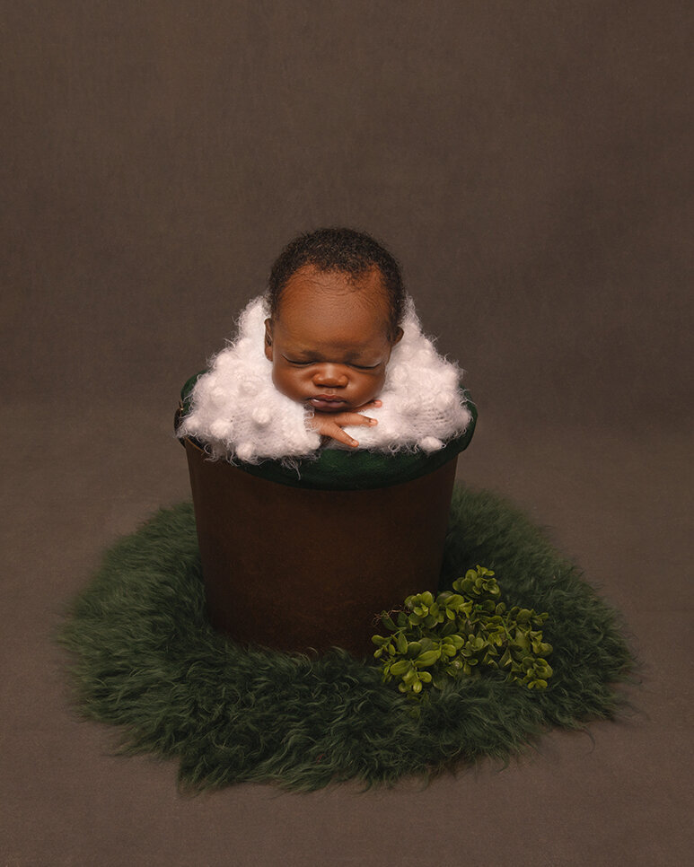 Savannah newborn photography session
