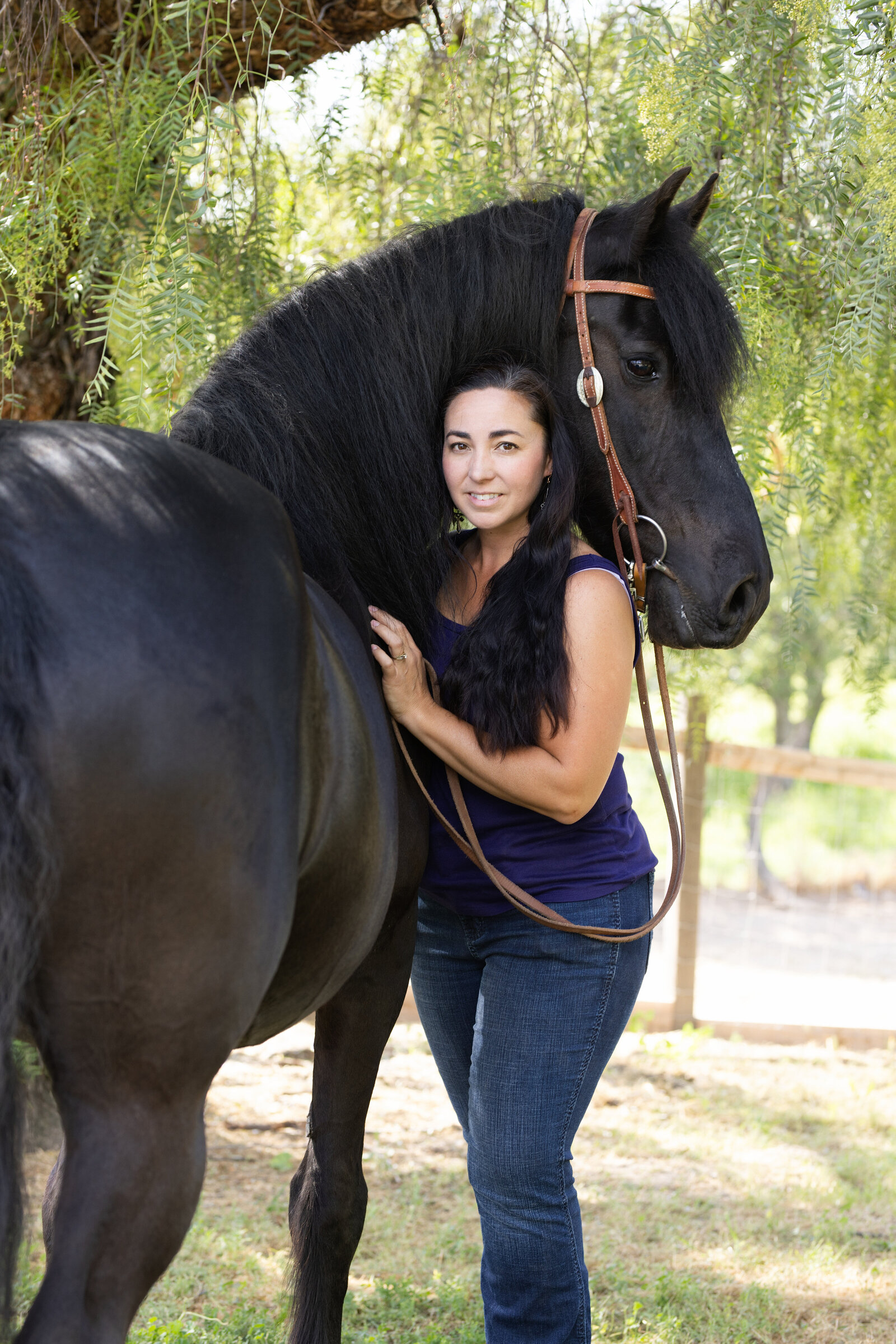 Northern California Equine Portraits