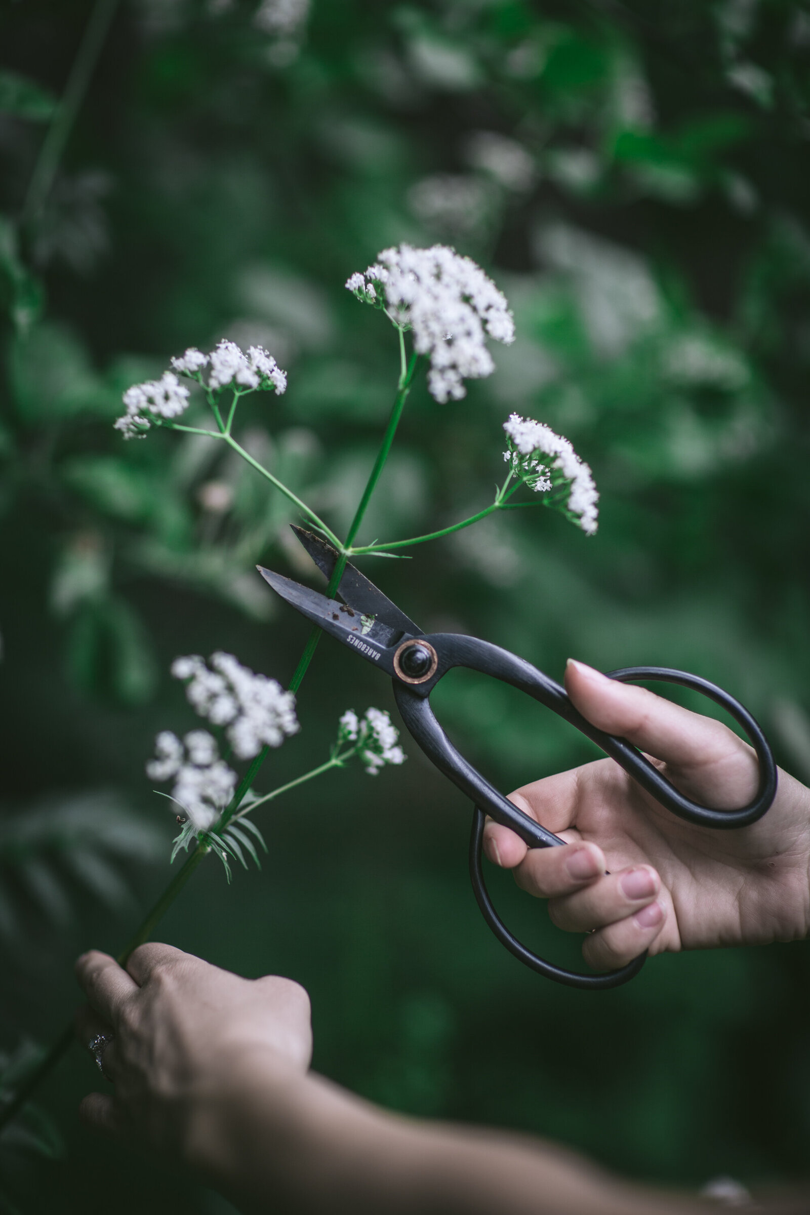Wind River Homestead by Eva Kosmas Flores-3