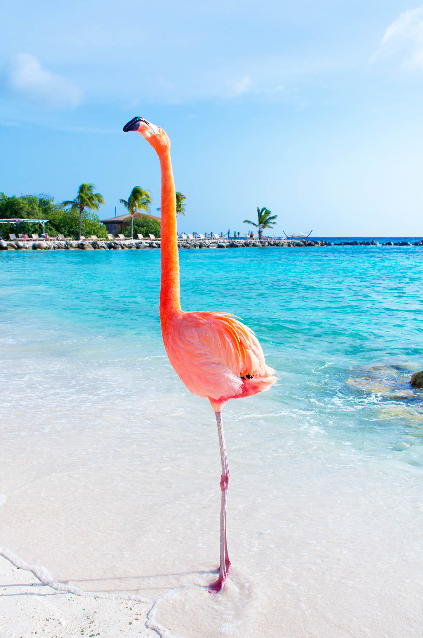 Champagne and Sunshine Vacations-29