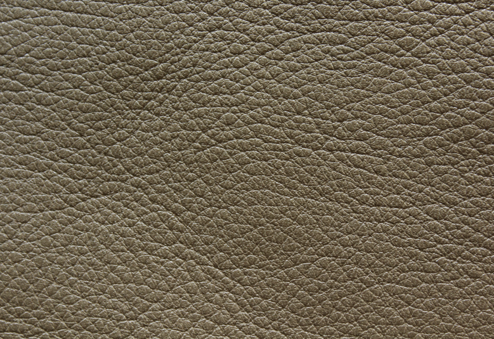 Noveaux Olive Leather