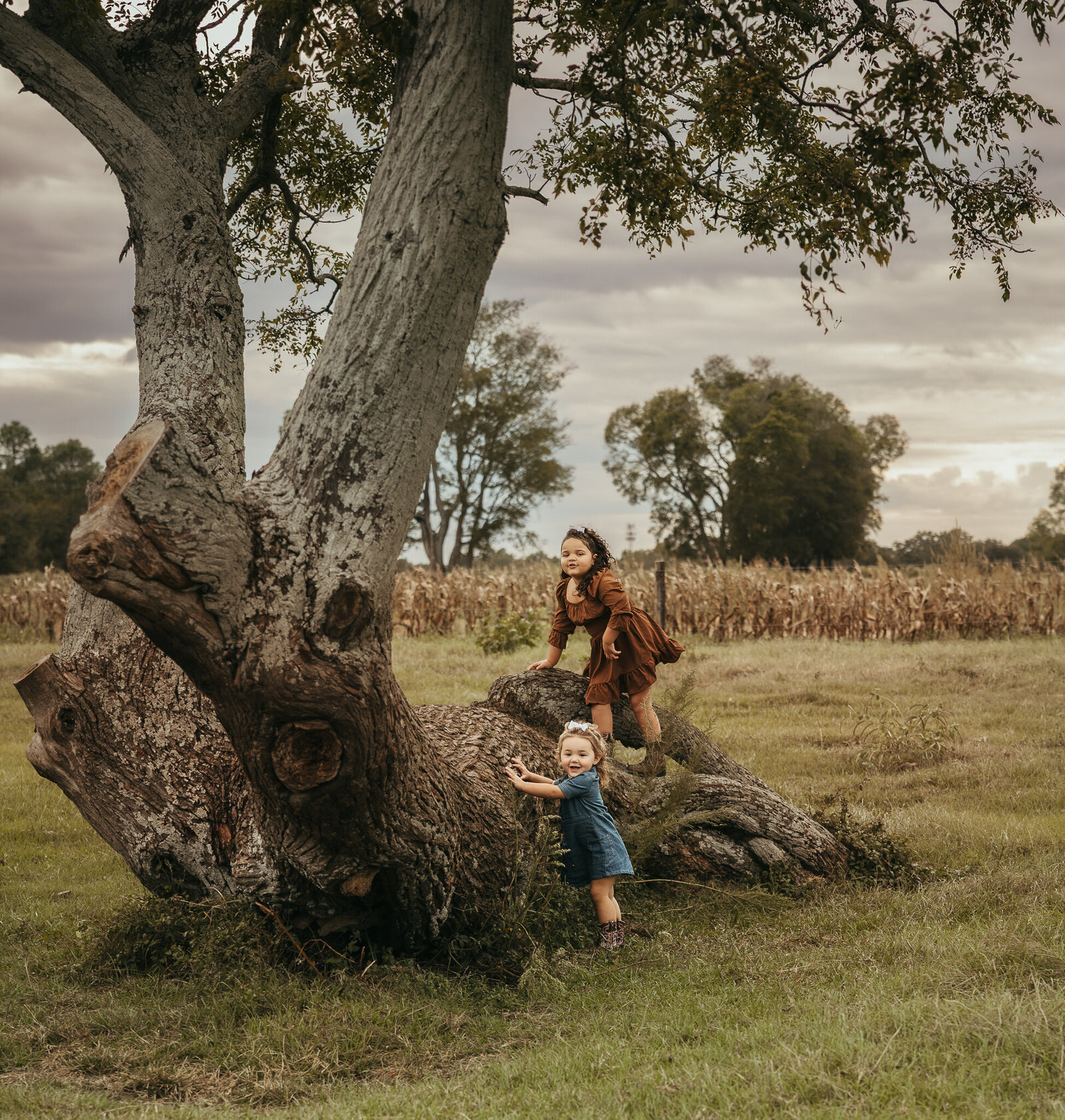 Two sister playing around a large tree during a family session in a farm field in Aiken  SC.