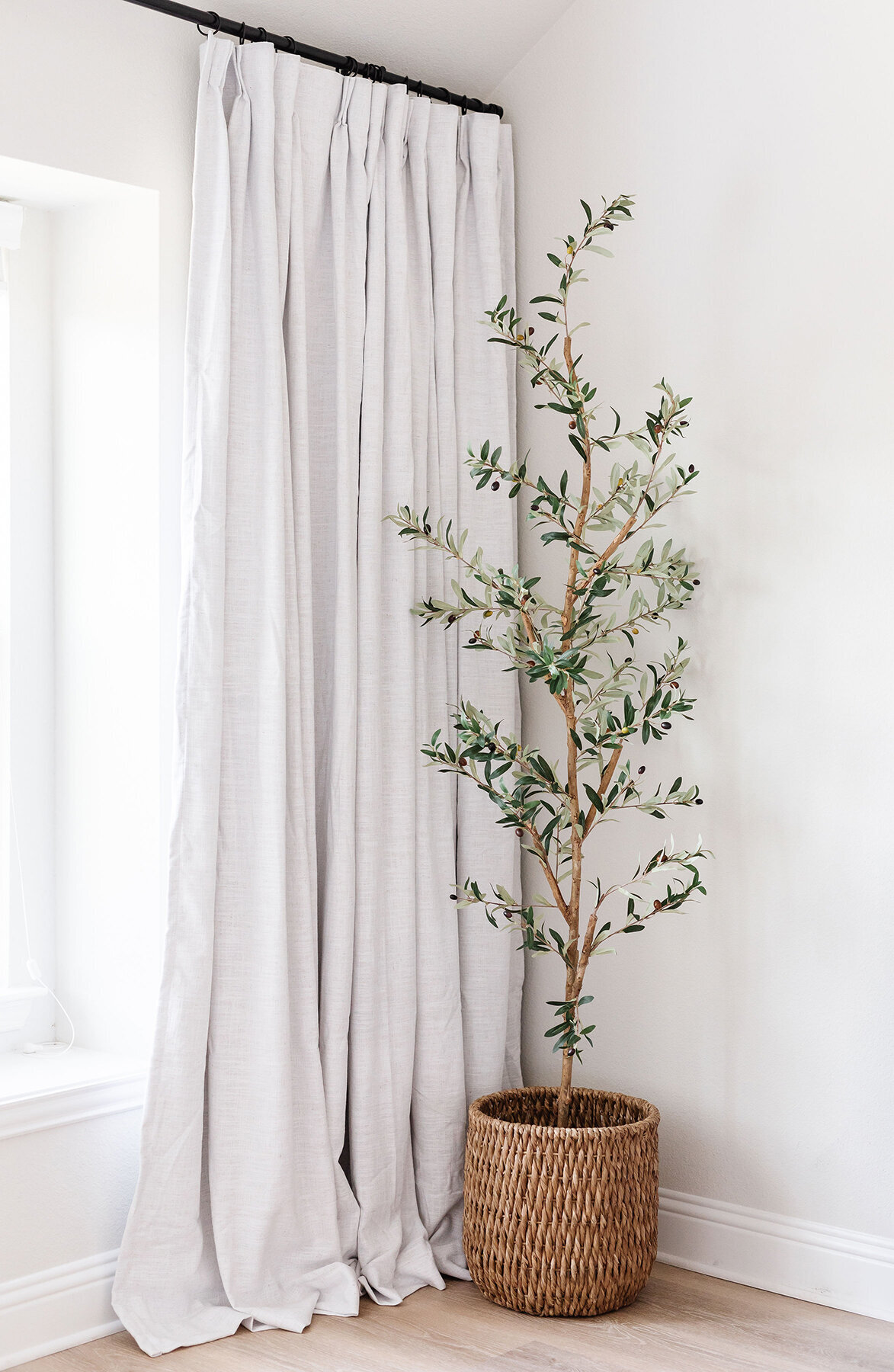 morning light olive tree interiors