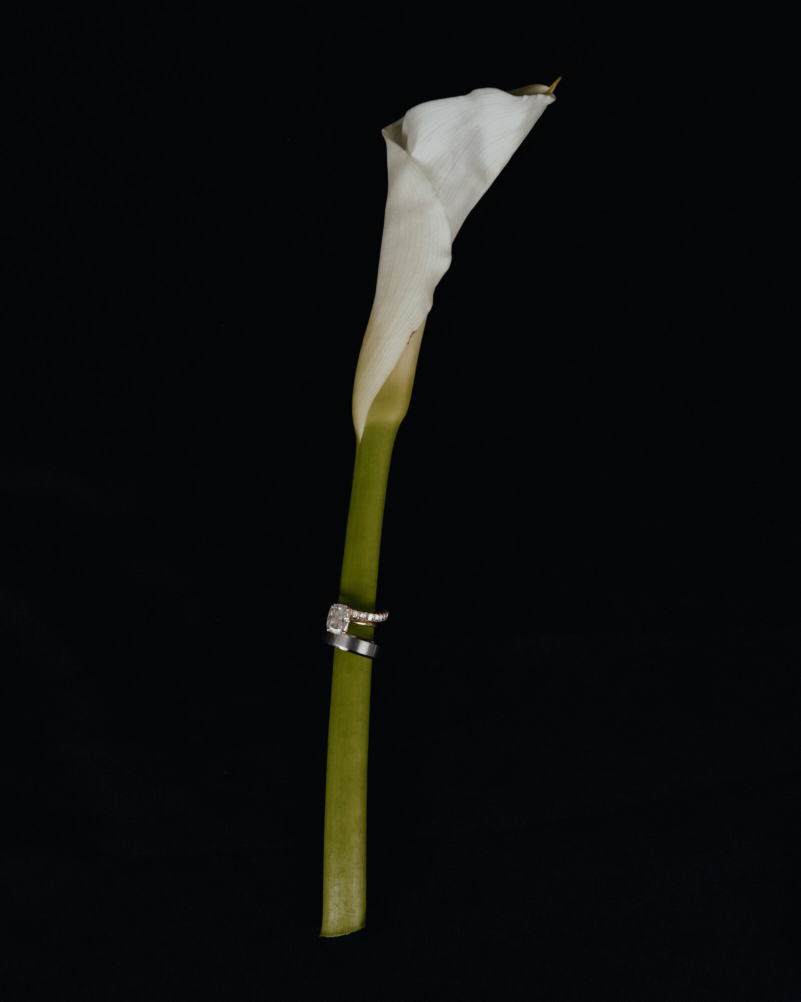 haillekernphoto-fin-1488