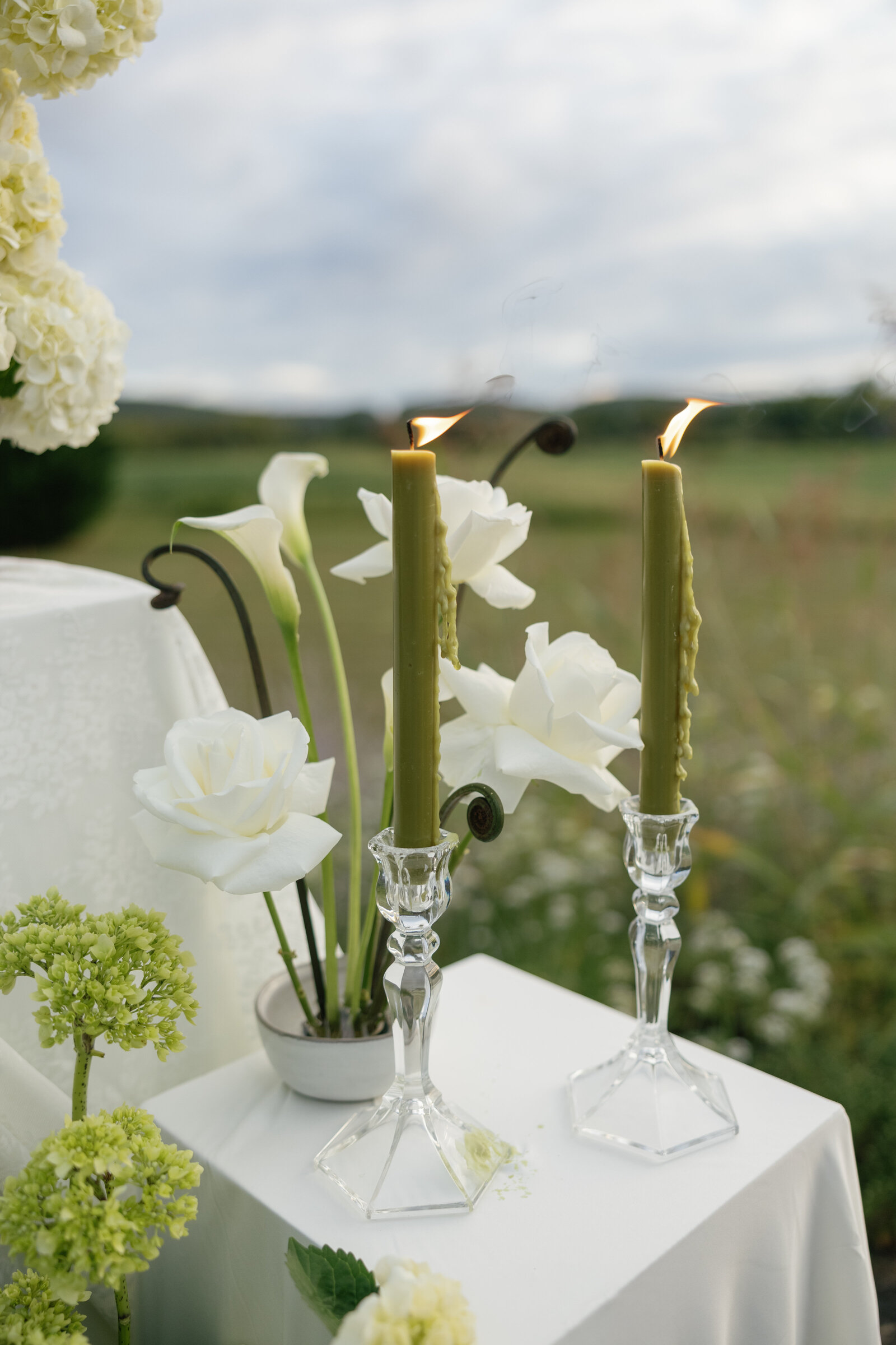 KIERRAFISKEPHOTO-PEARL&POPPY-276