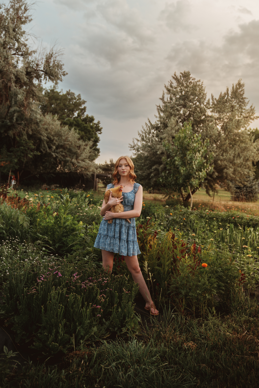 dmc pic edits right size (1)