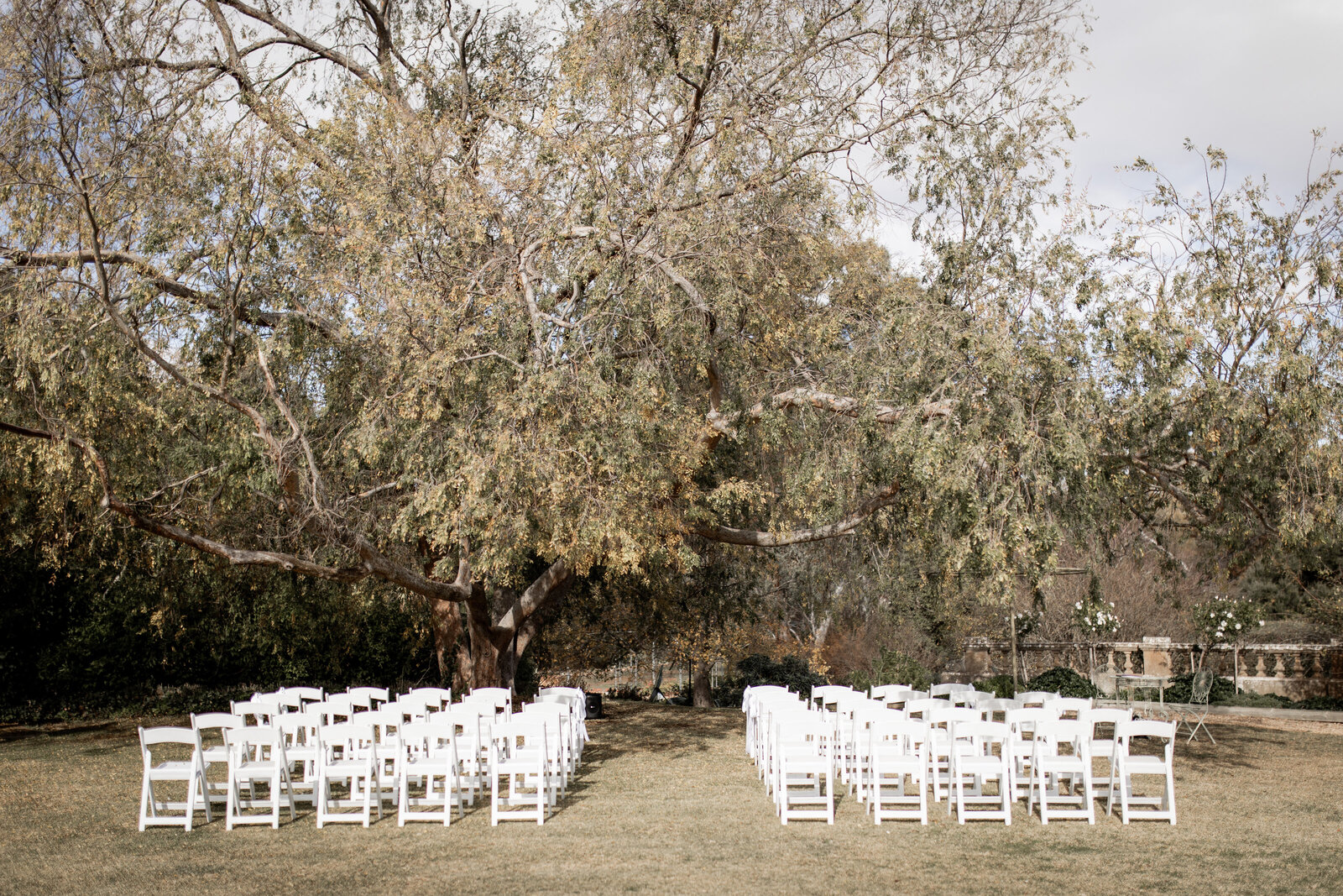 250612-Lucy-Brandon-Rexvil-Photography-Adelaide-Wedding-Photographer-225